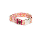 Collar Click Blossom de BDEBRUNO para perros