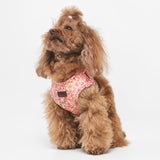 Arnés Wrap Blossom de BDEBRUNO para perros