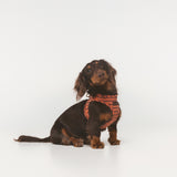 Arnés Wrap Mafalda de BDEBRUNO para perros