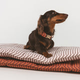 Roll-Bed Sophie de BDEBRUNO, cama de viaje para perros