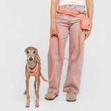 Correa Sintra de BDEBRUNO para perros