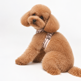 Arnés Wrap Sophie de BDEBRUNO para perros