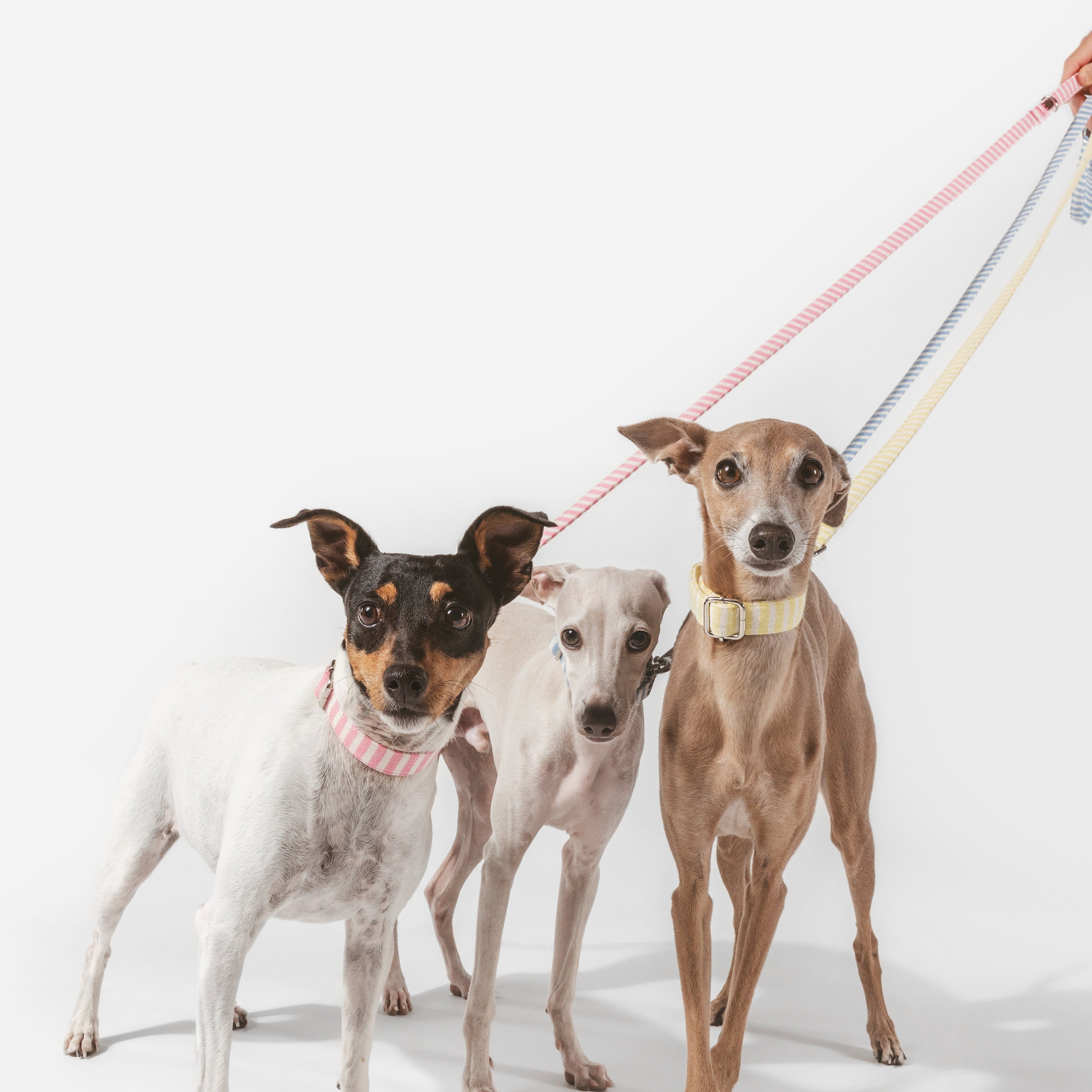 Click Lift Collar