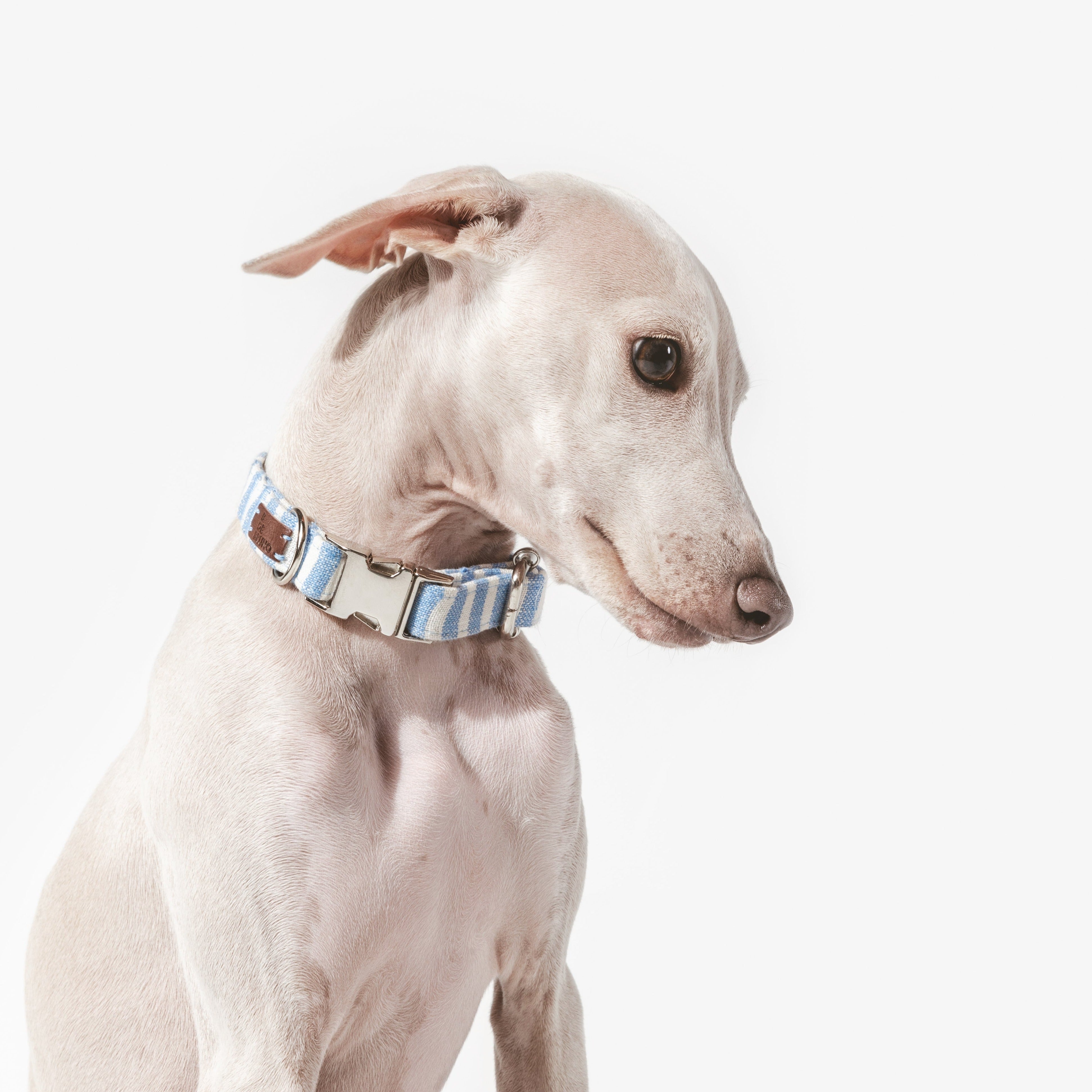 Click Lift Collar