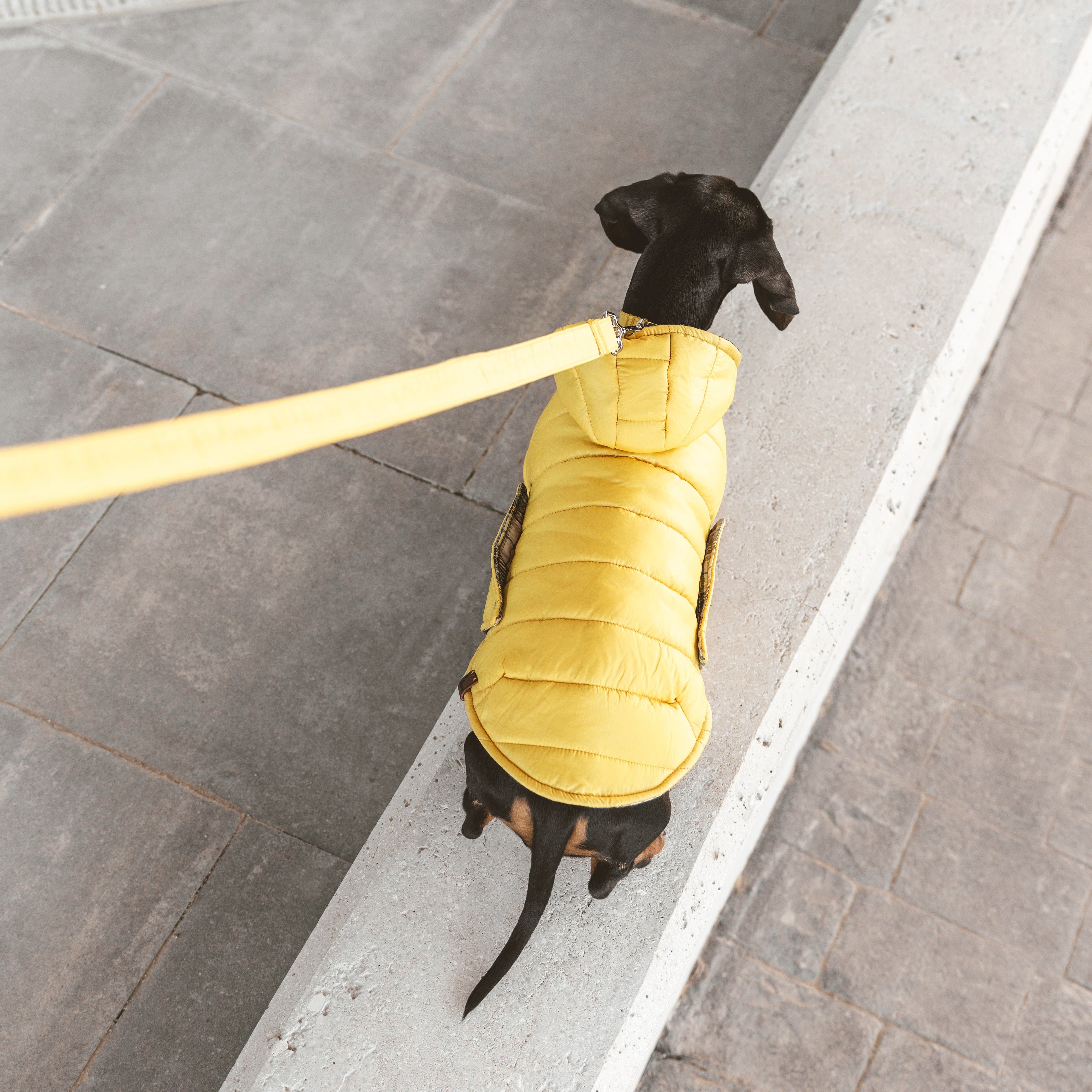 Chaquetón Waterproof