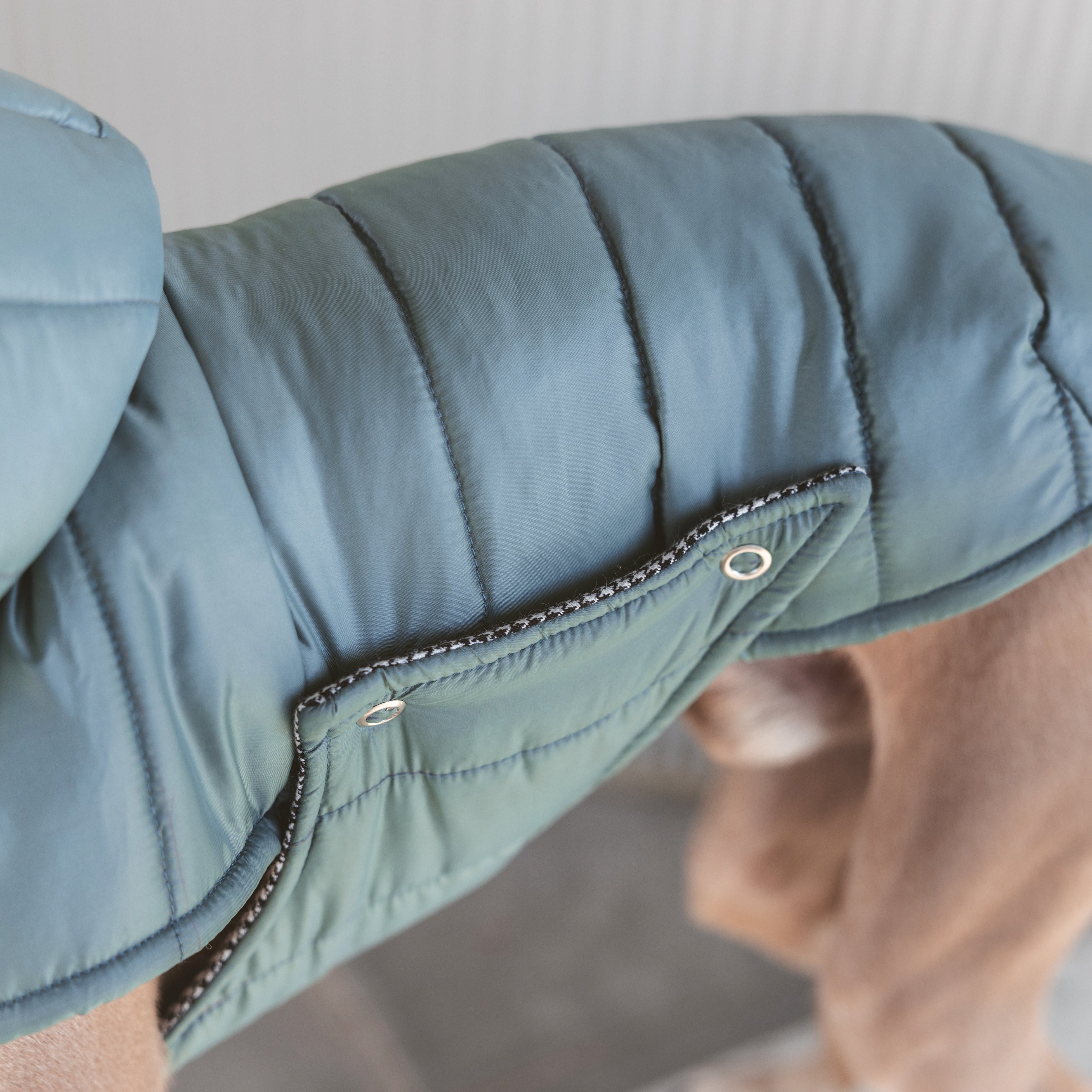 Chaquetón Waterproof