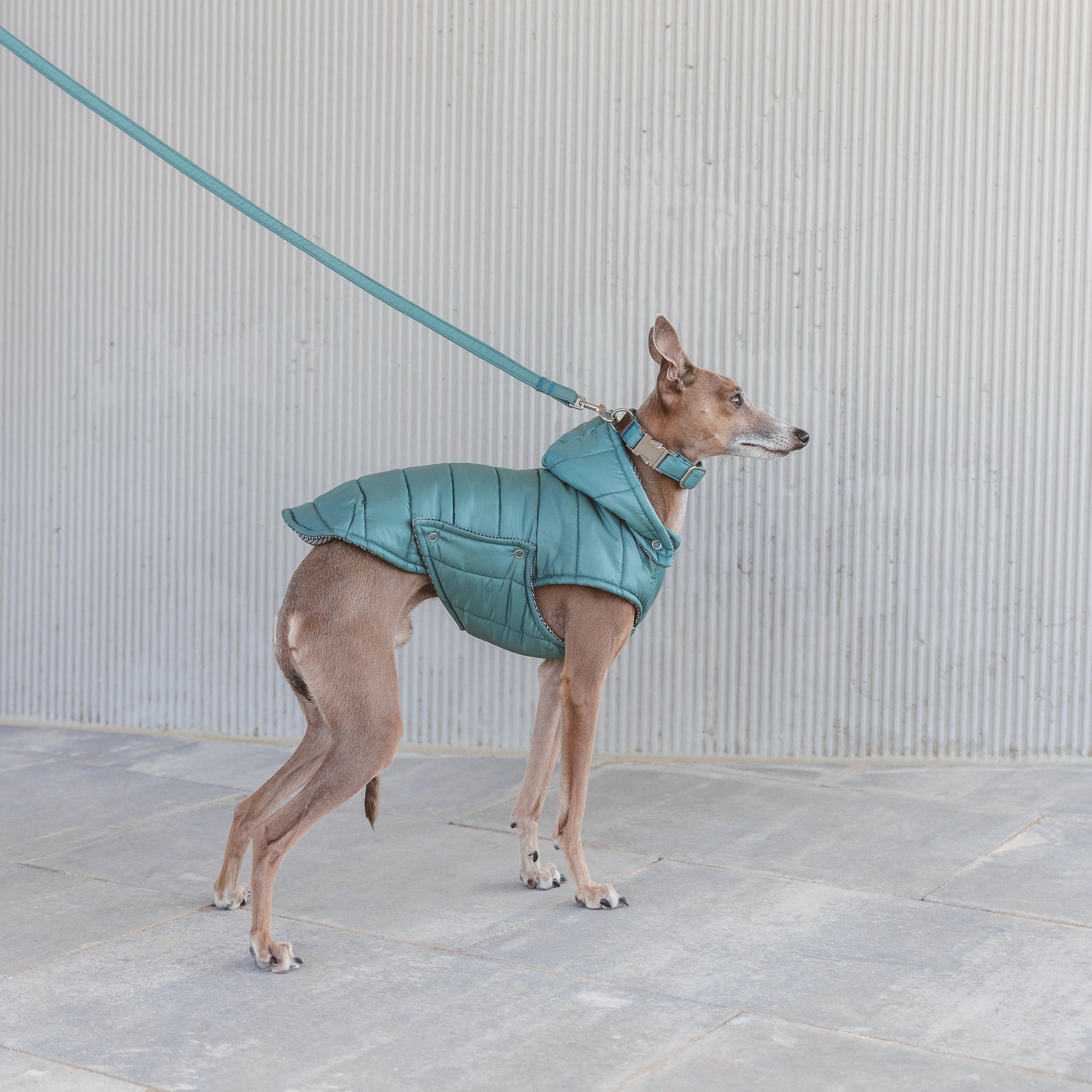 Chaquetón Waterproof