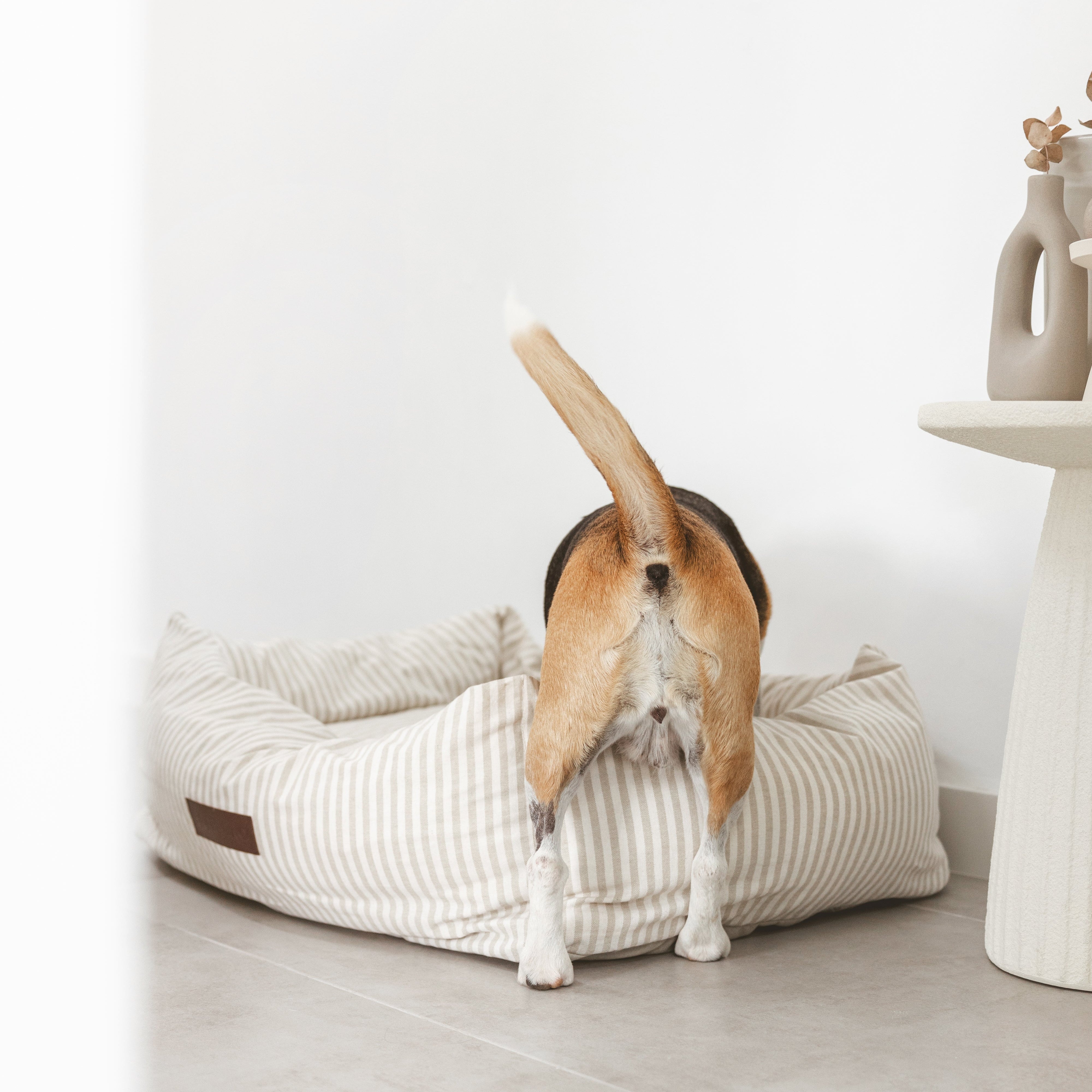 Nuck Removable Bed Cover