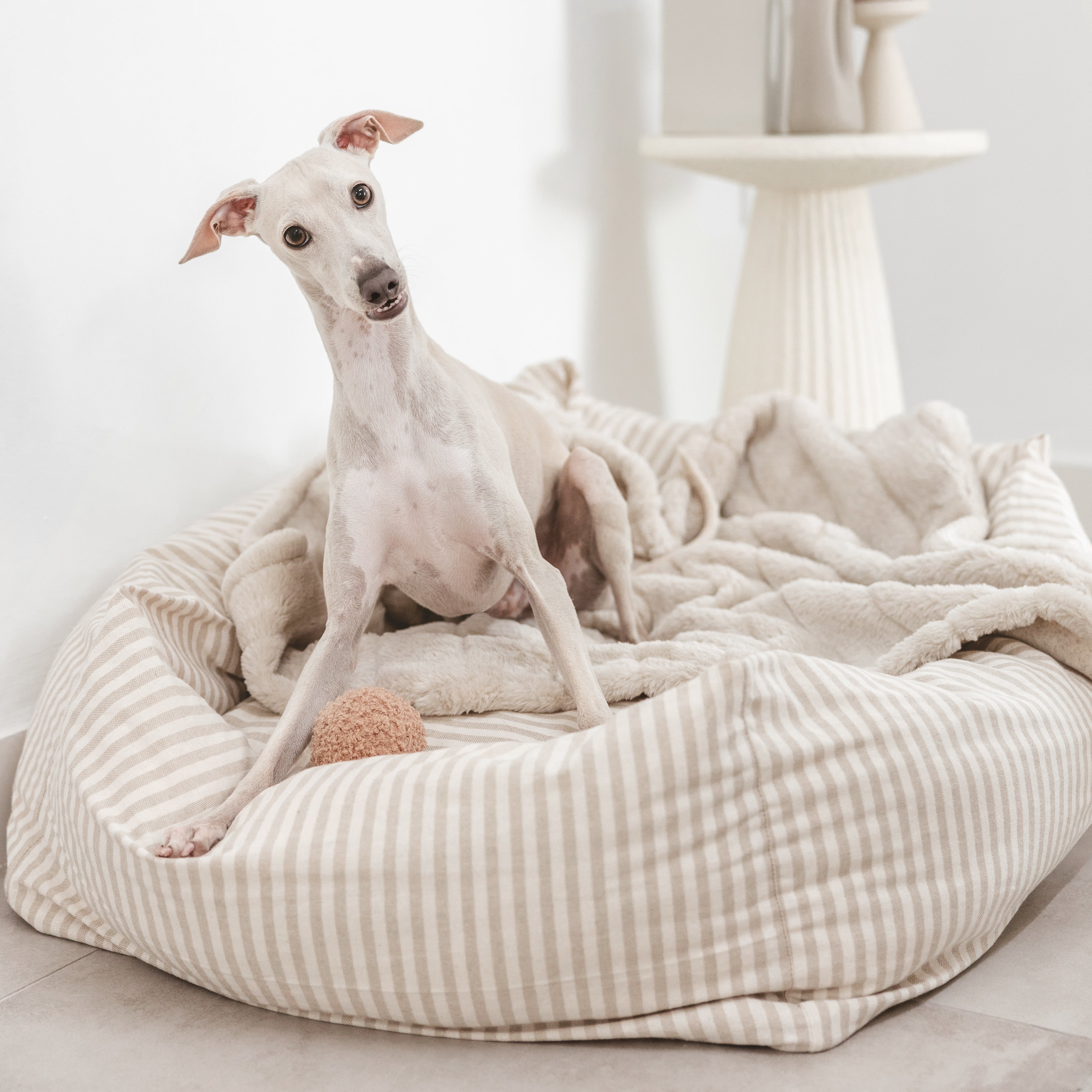 Nuck Removable Bed Cover