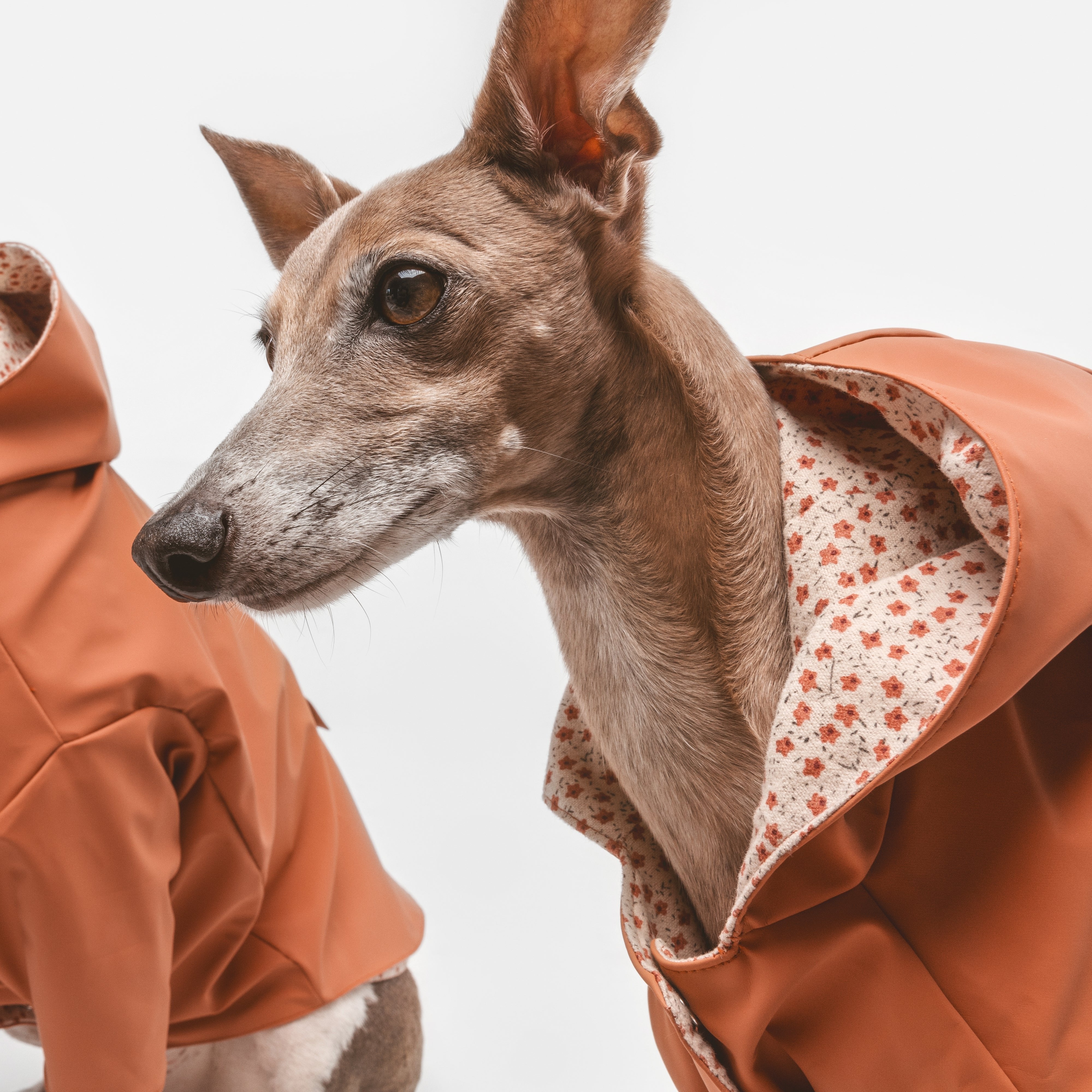 Impermeable Julieta