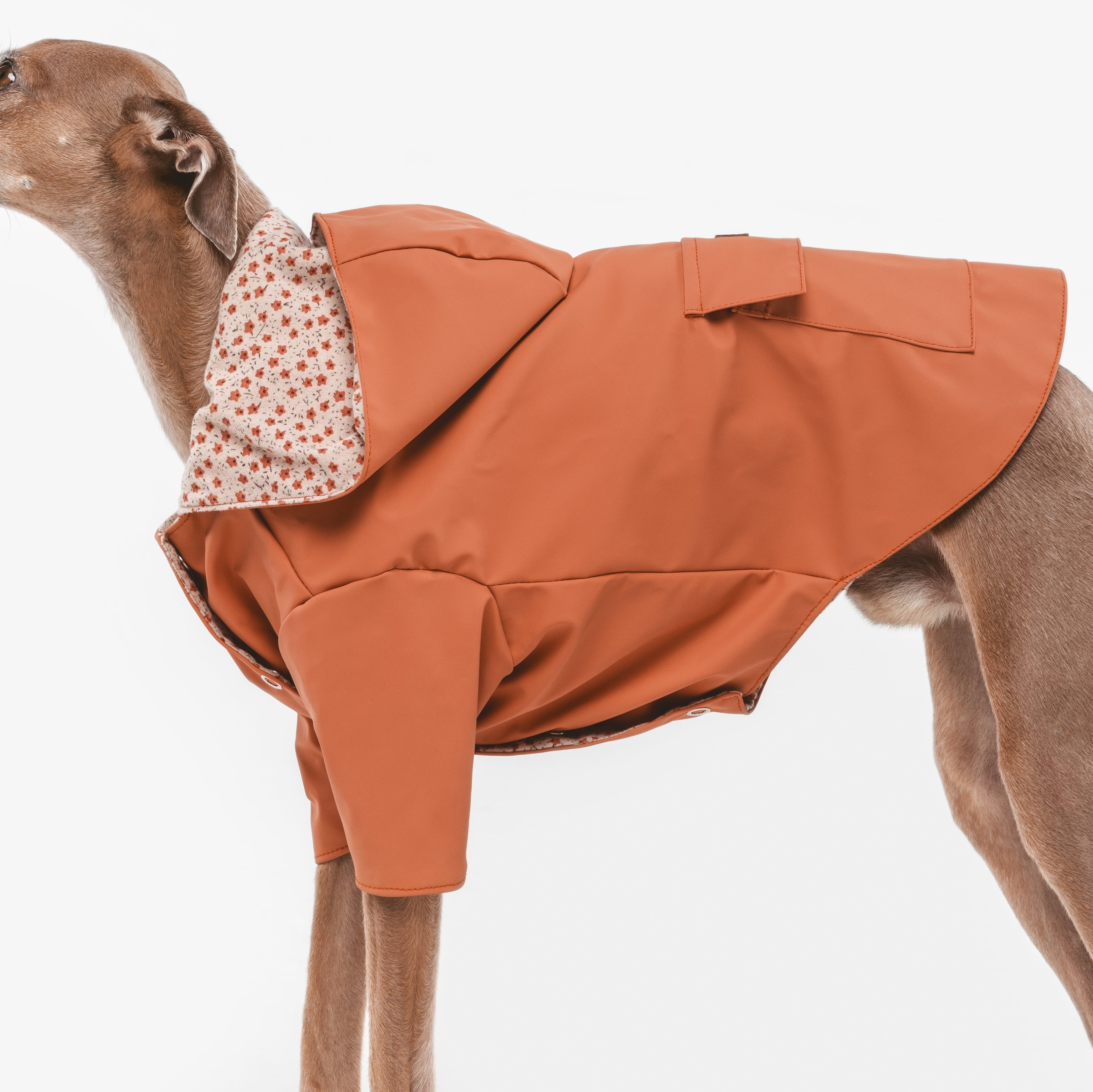 Impermeable Julieta