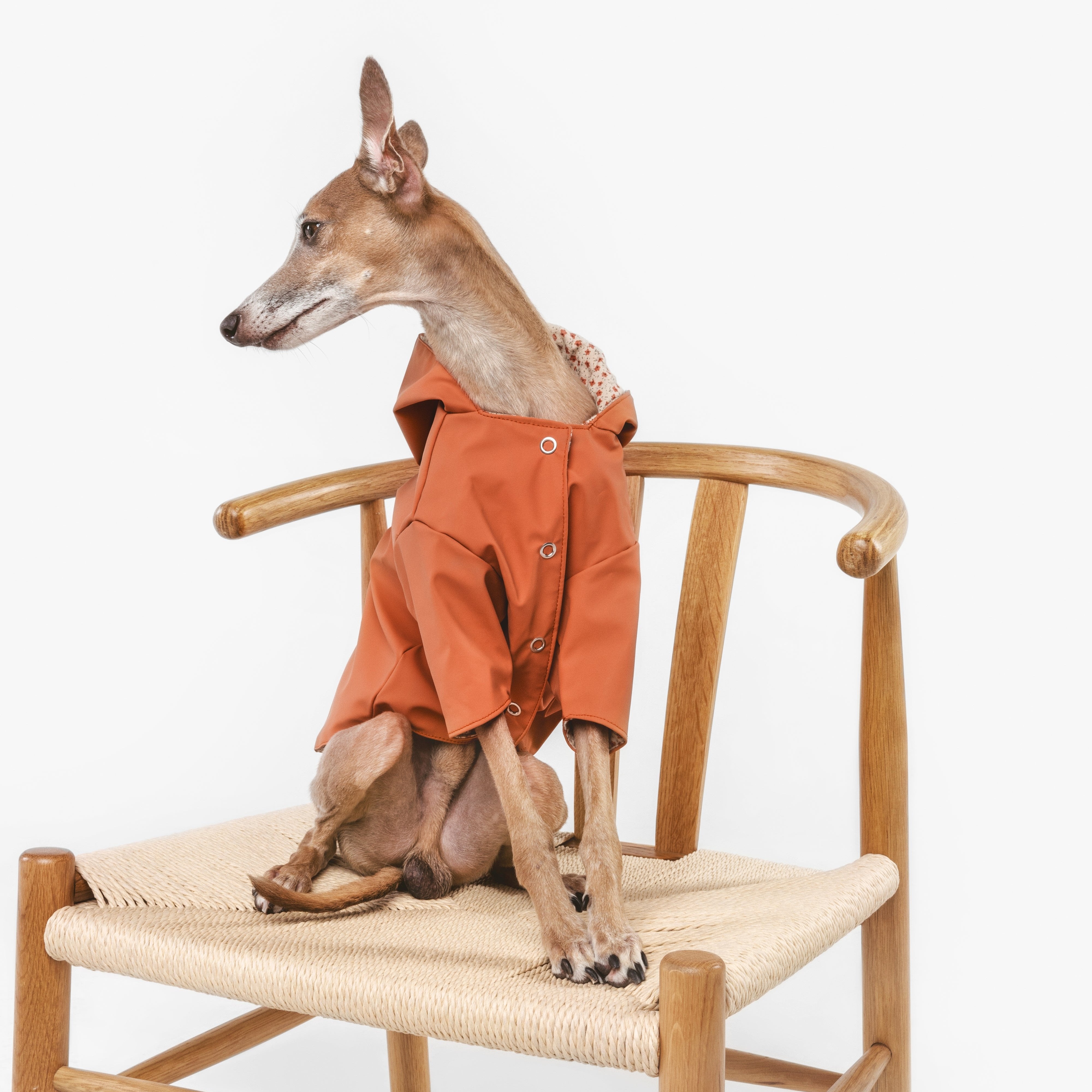 Impermeable Julieta