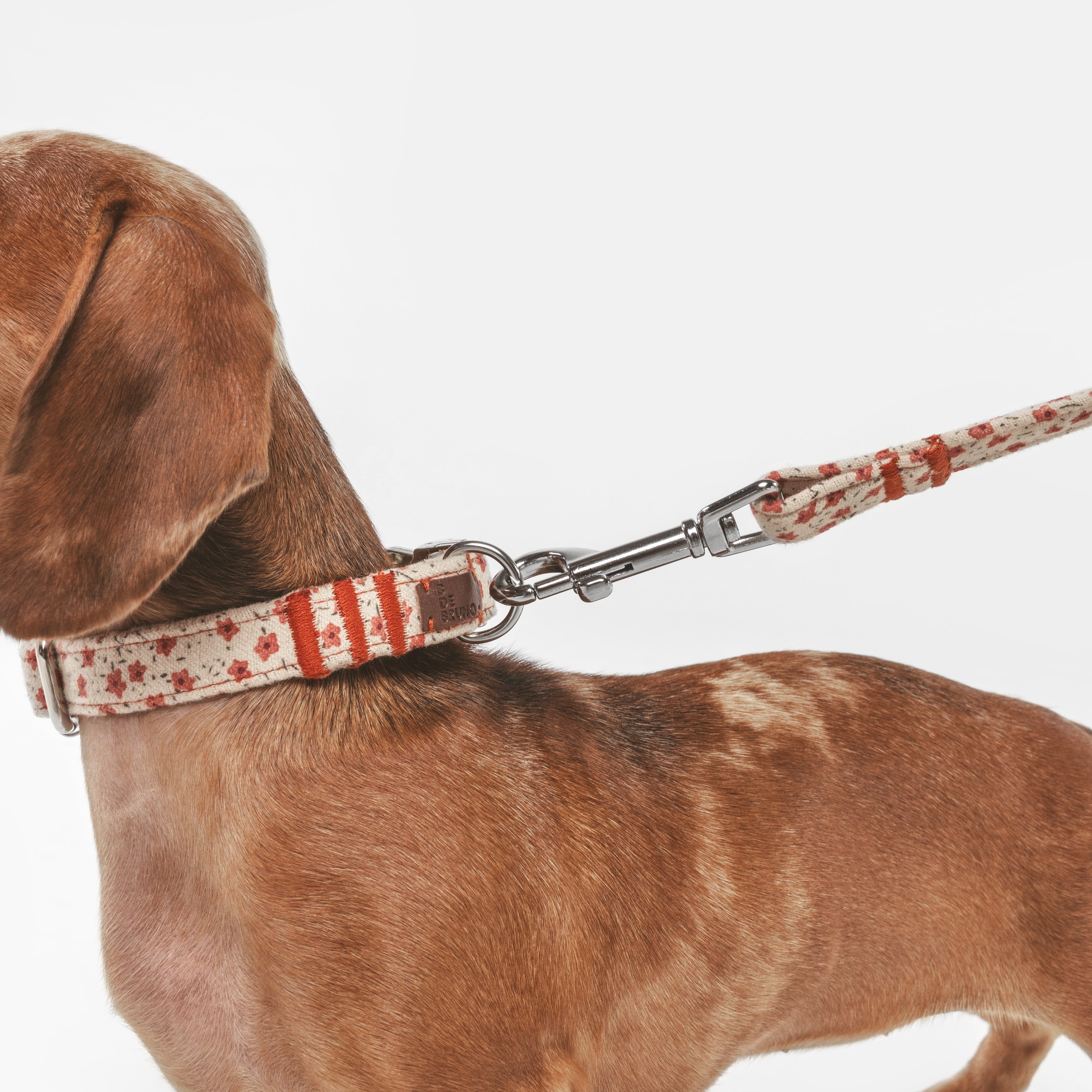 Juliet Leash