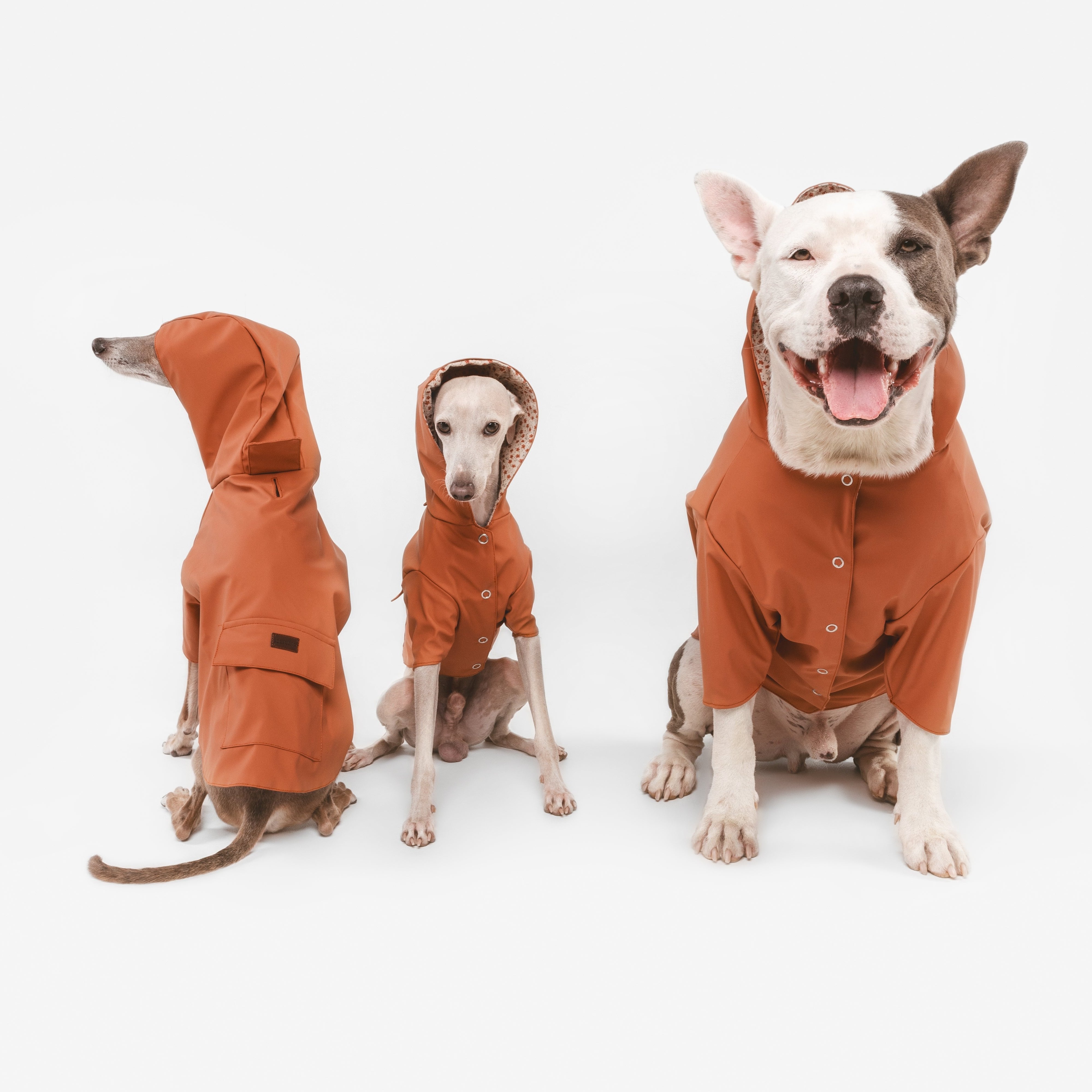Impermeable Julieta