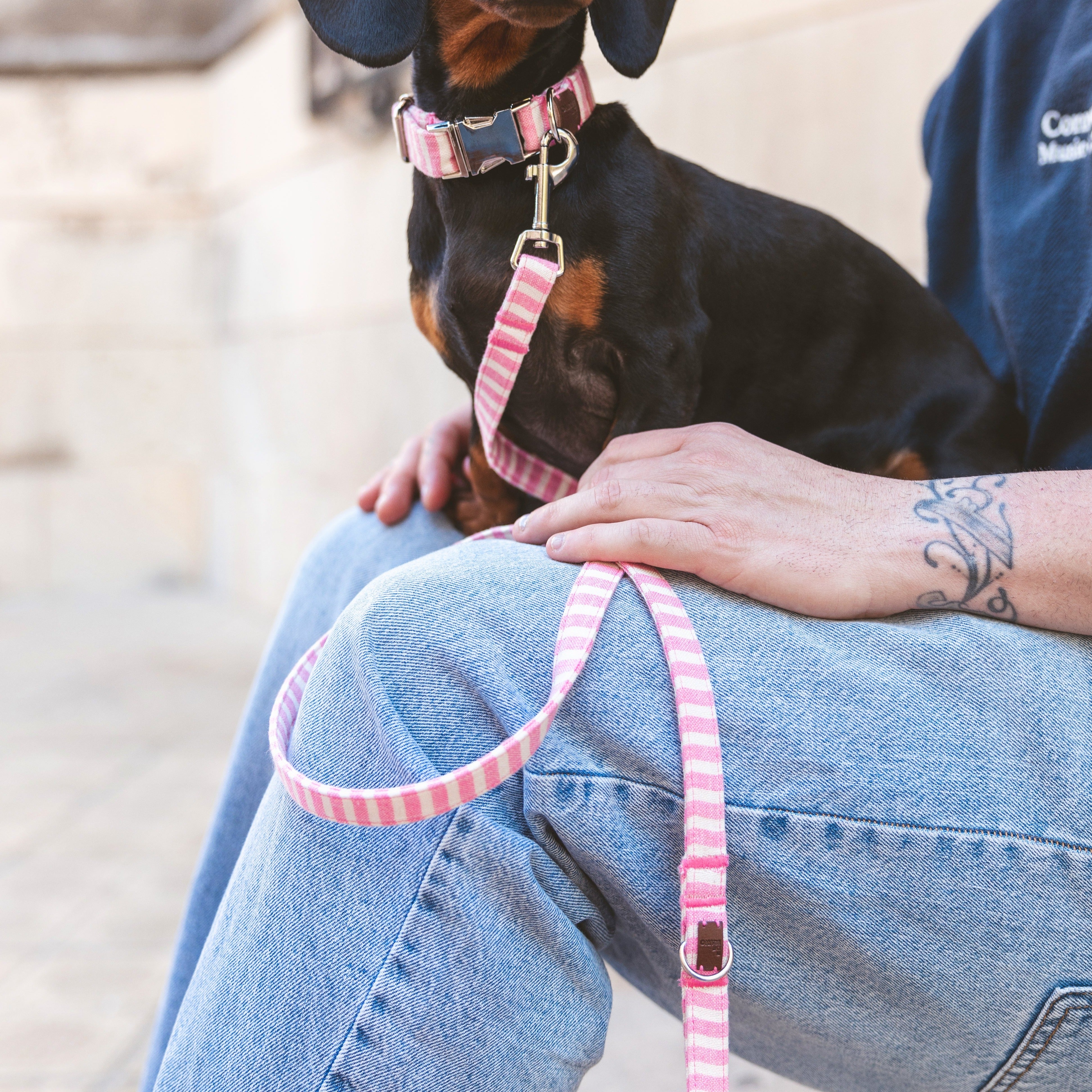 Levante Leash