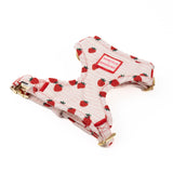 Arnés Chest Strawberry Vibes de BDEBRUNO para perros