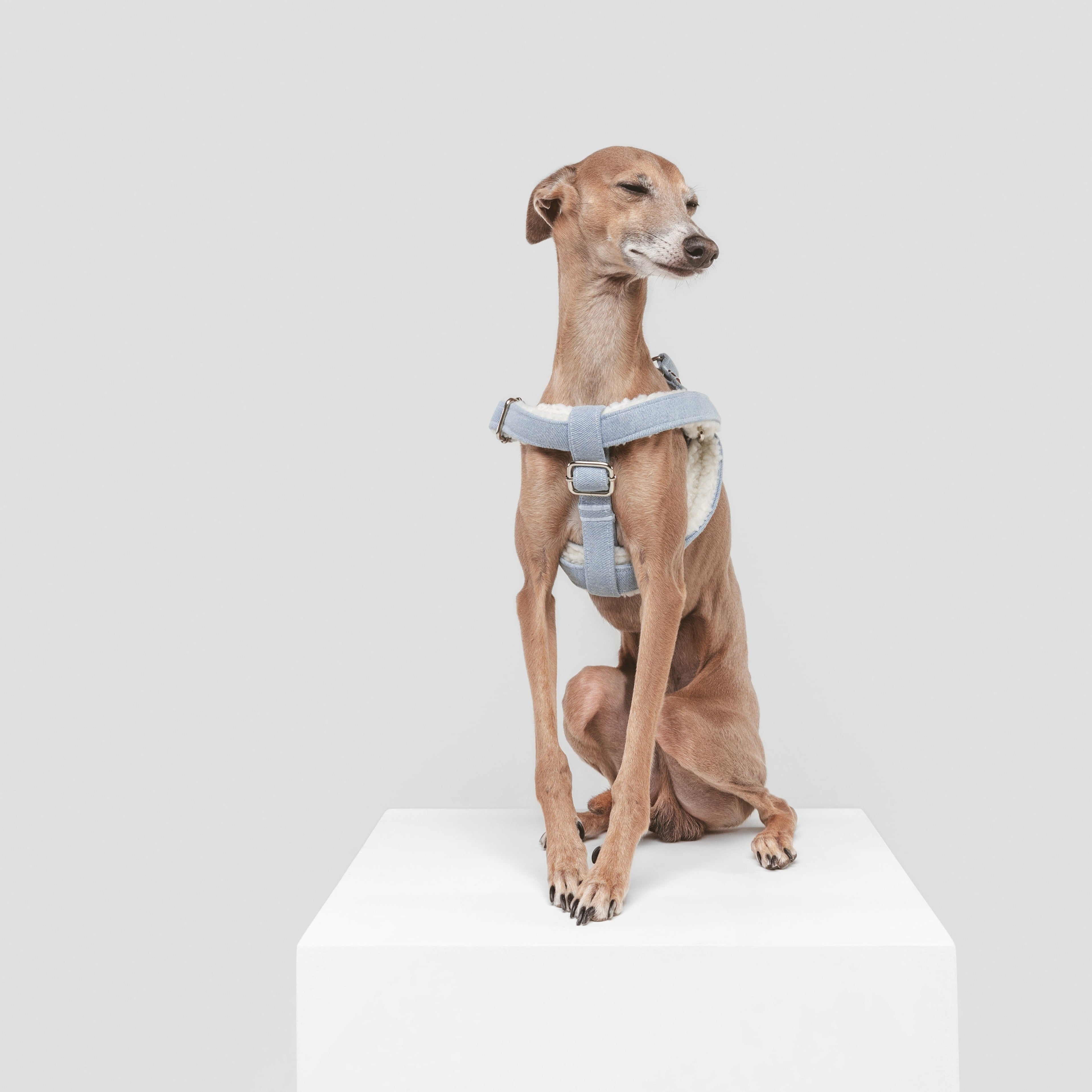 Simple Urban Denim Harness