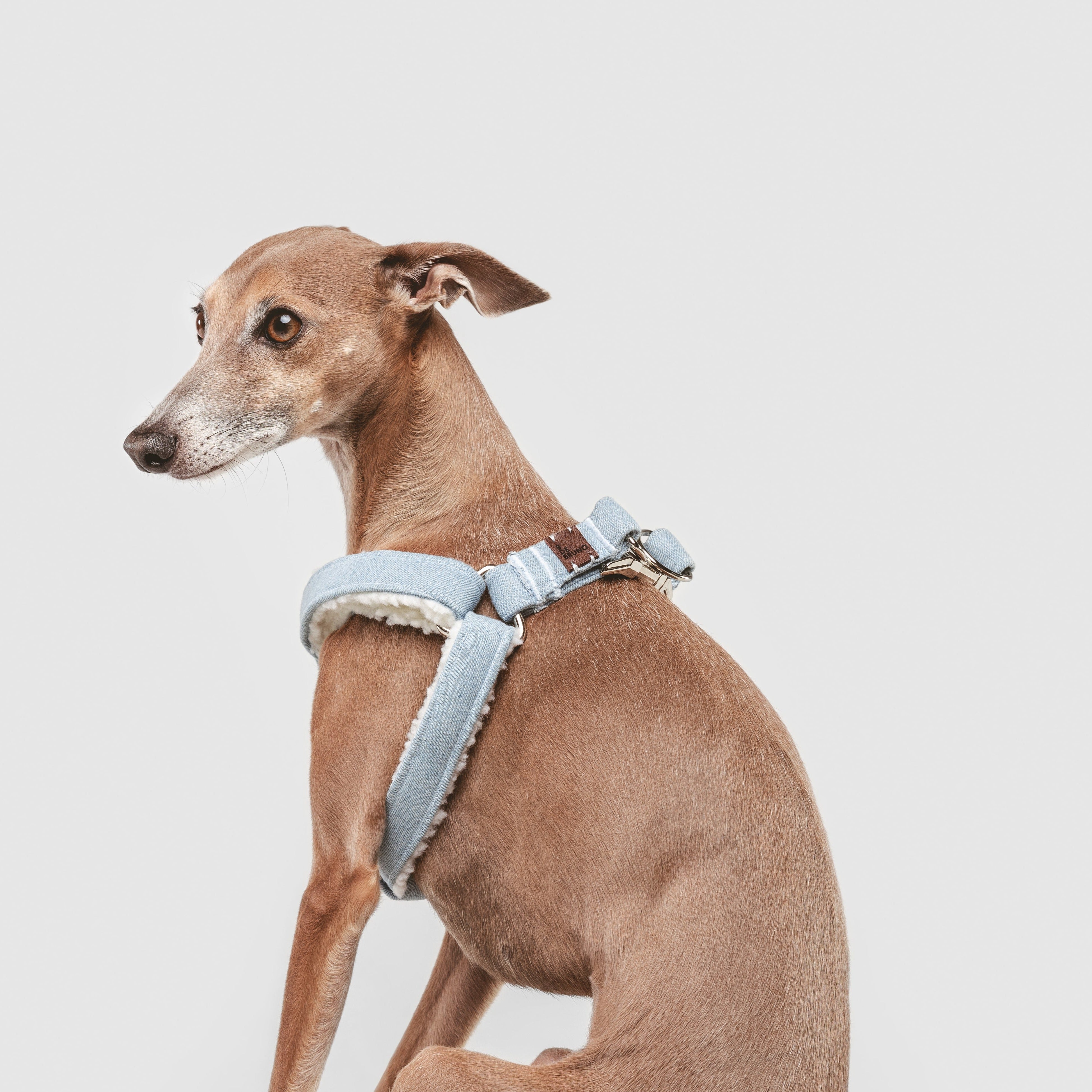 Simple Urban Denim Harness