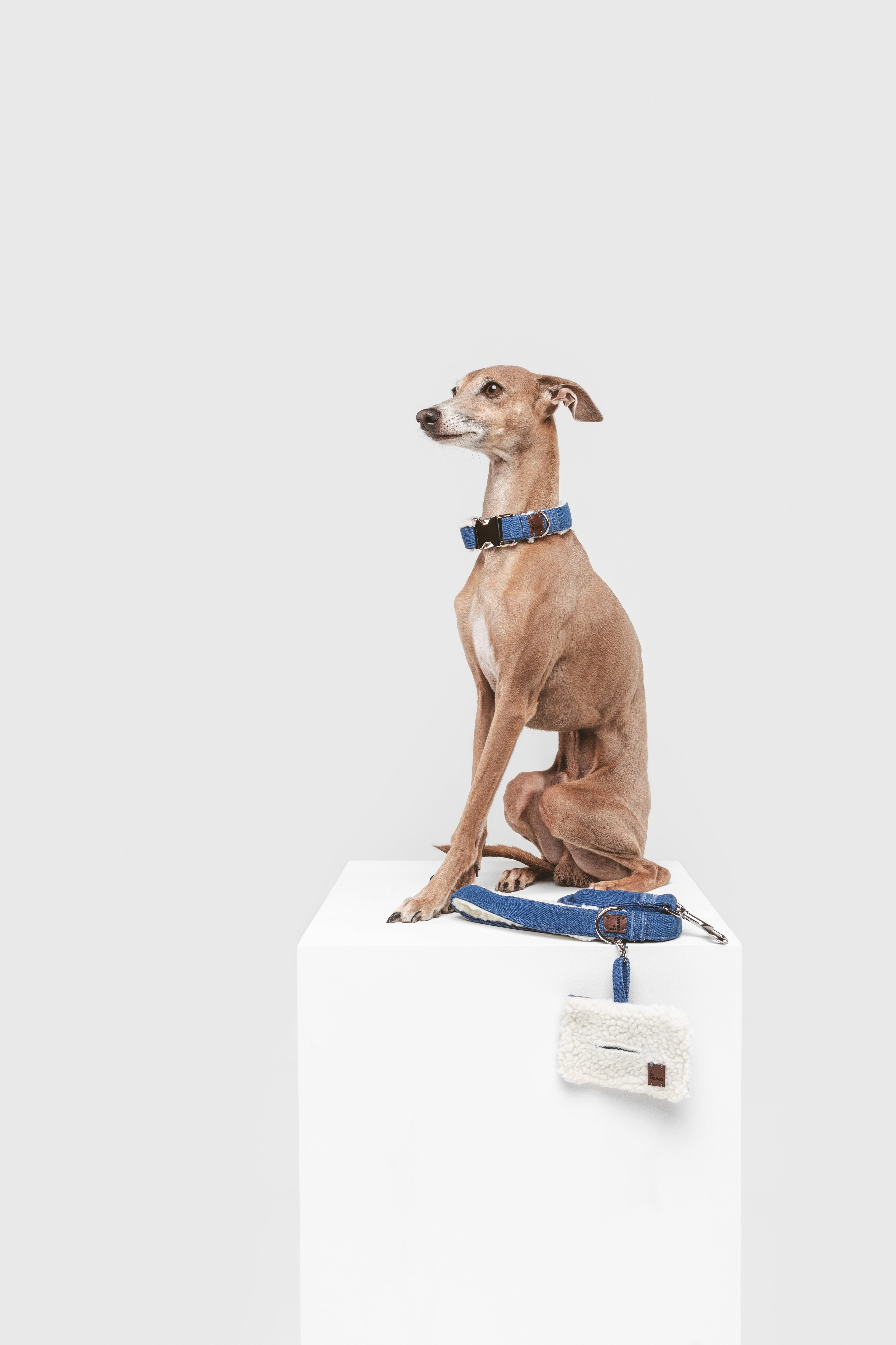 Urban Denim Click Collar