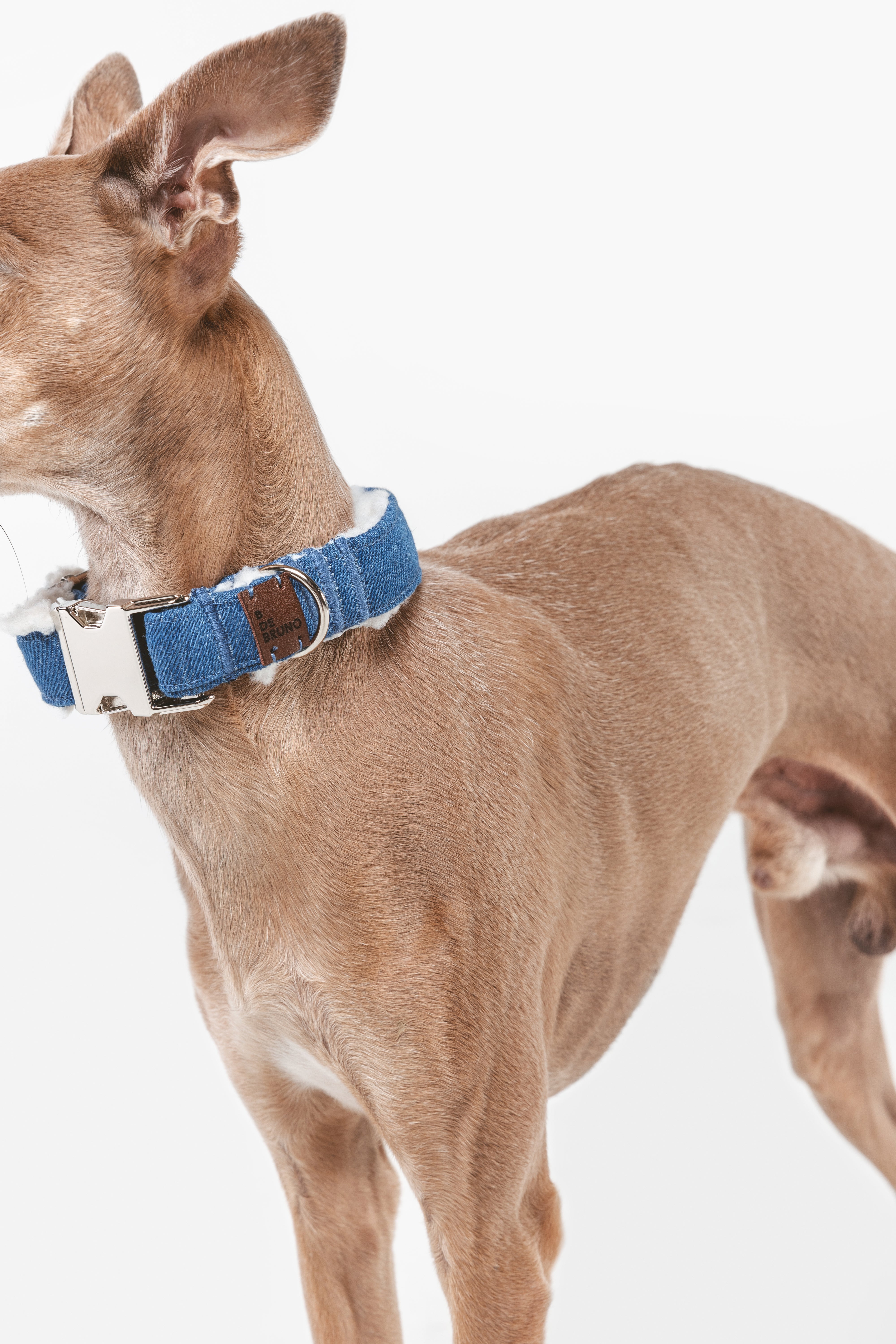 Urban Denim Click Collar