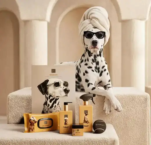 Tu perro también merece un spa.