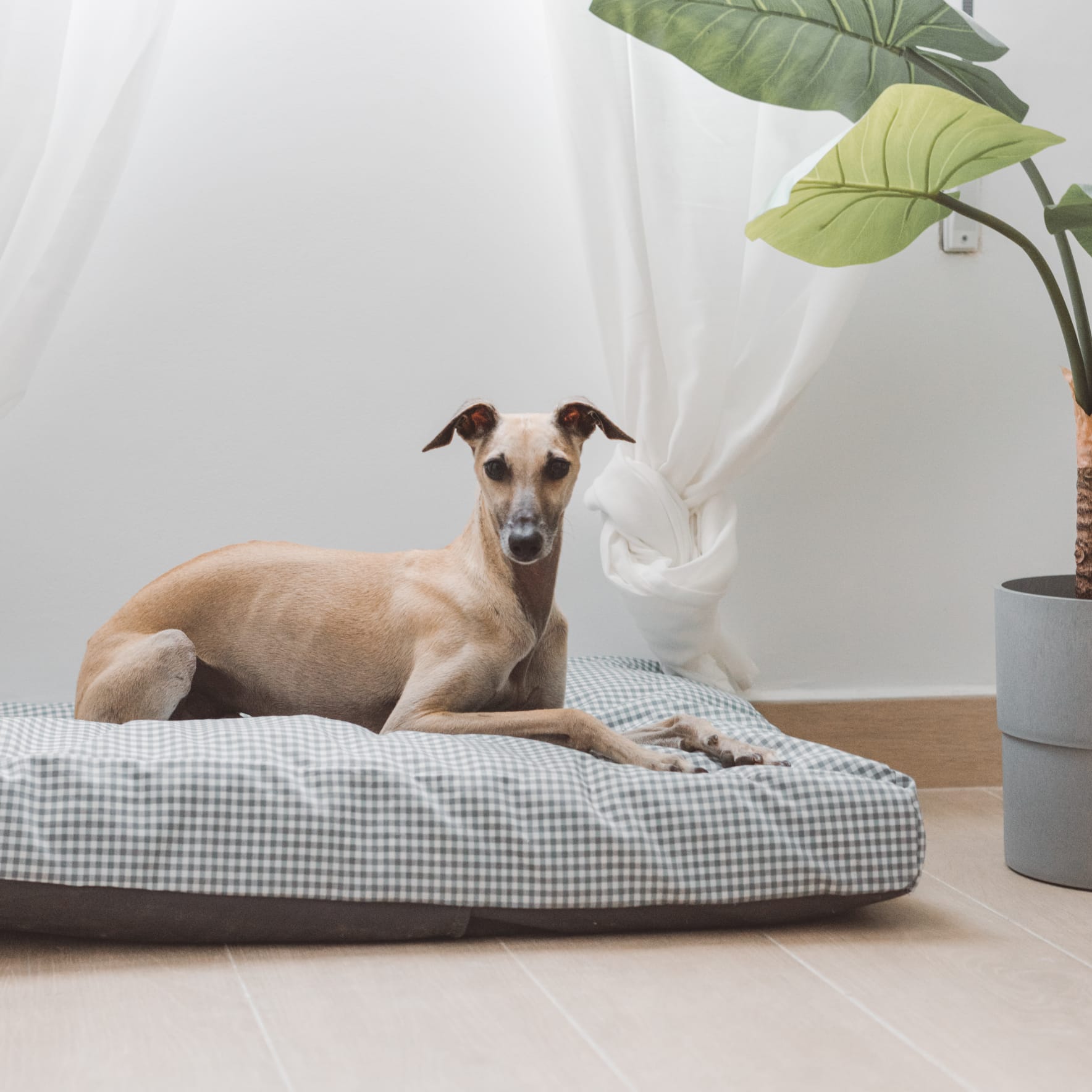 Basic Vichy cover for bed