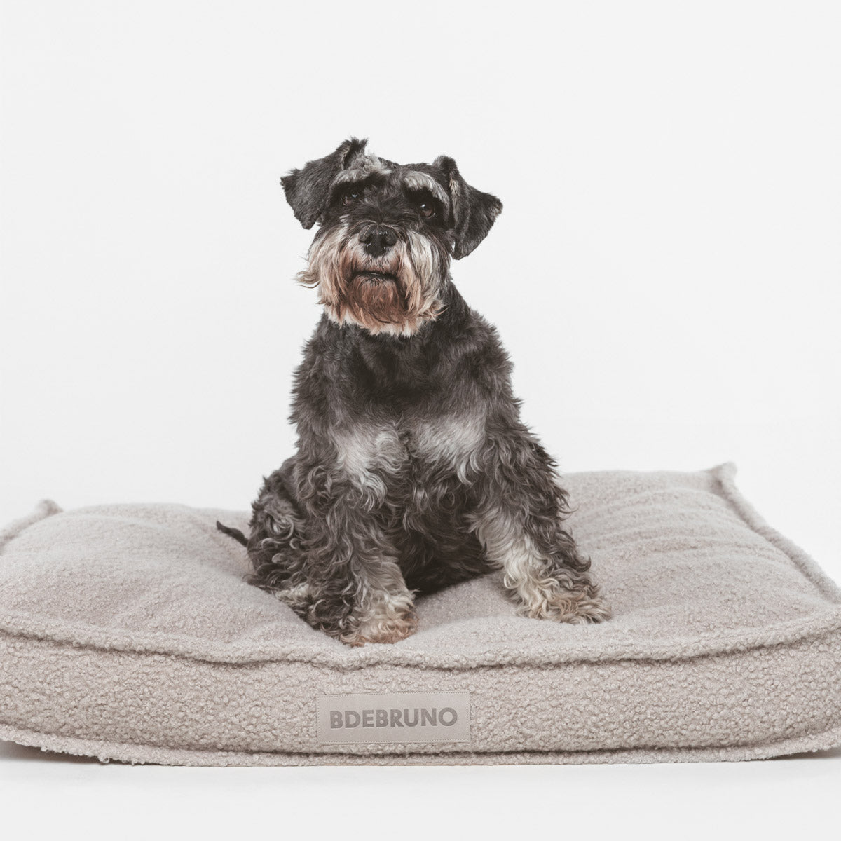 Camas Basic & Premium