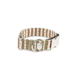 Collar Click Matcha de BDEBRUNO para perros