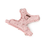 Arnés Chest Mauve de BDEBRUNO para perros