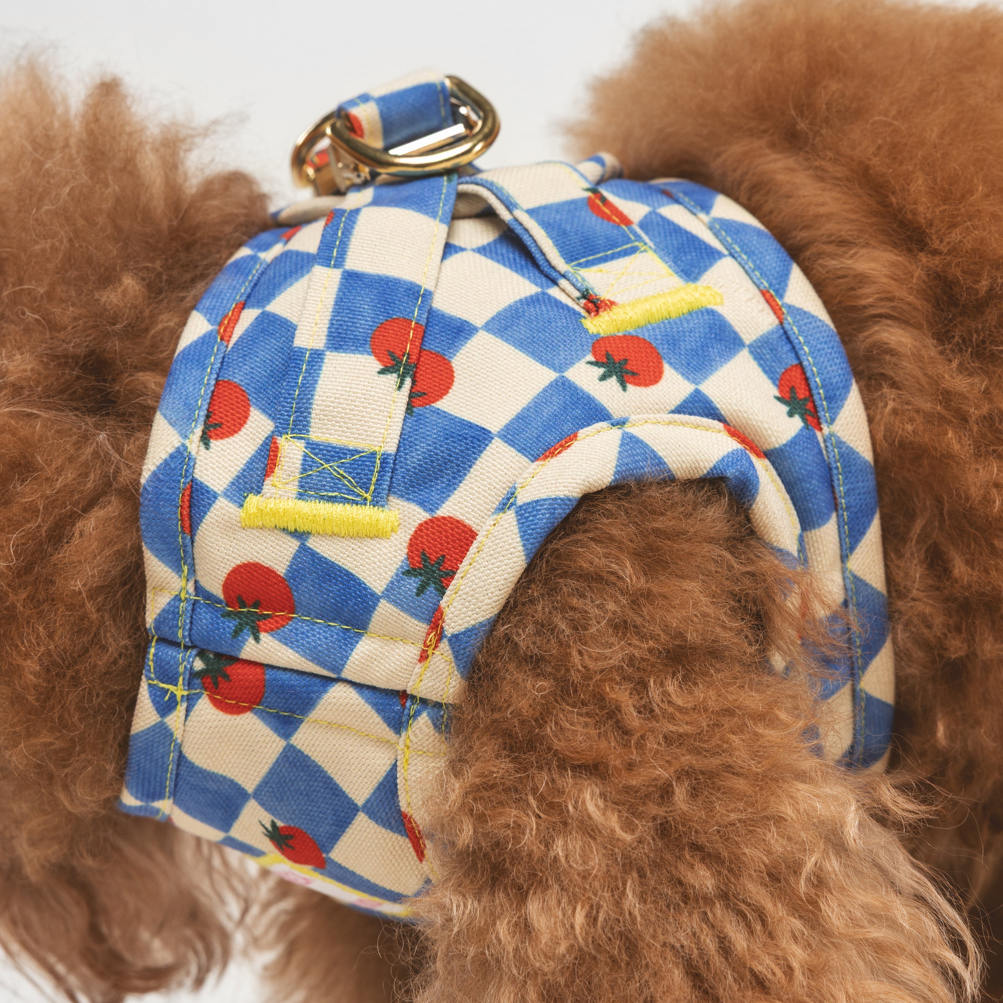 Arnés Wrap Pomodoro Pup