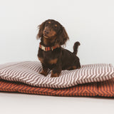Roll-Bed de BDEBRUNO, cama de viaje para perros