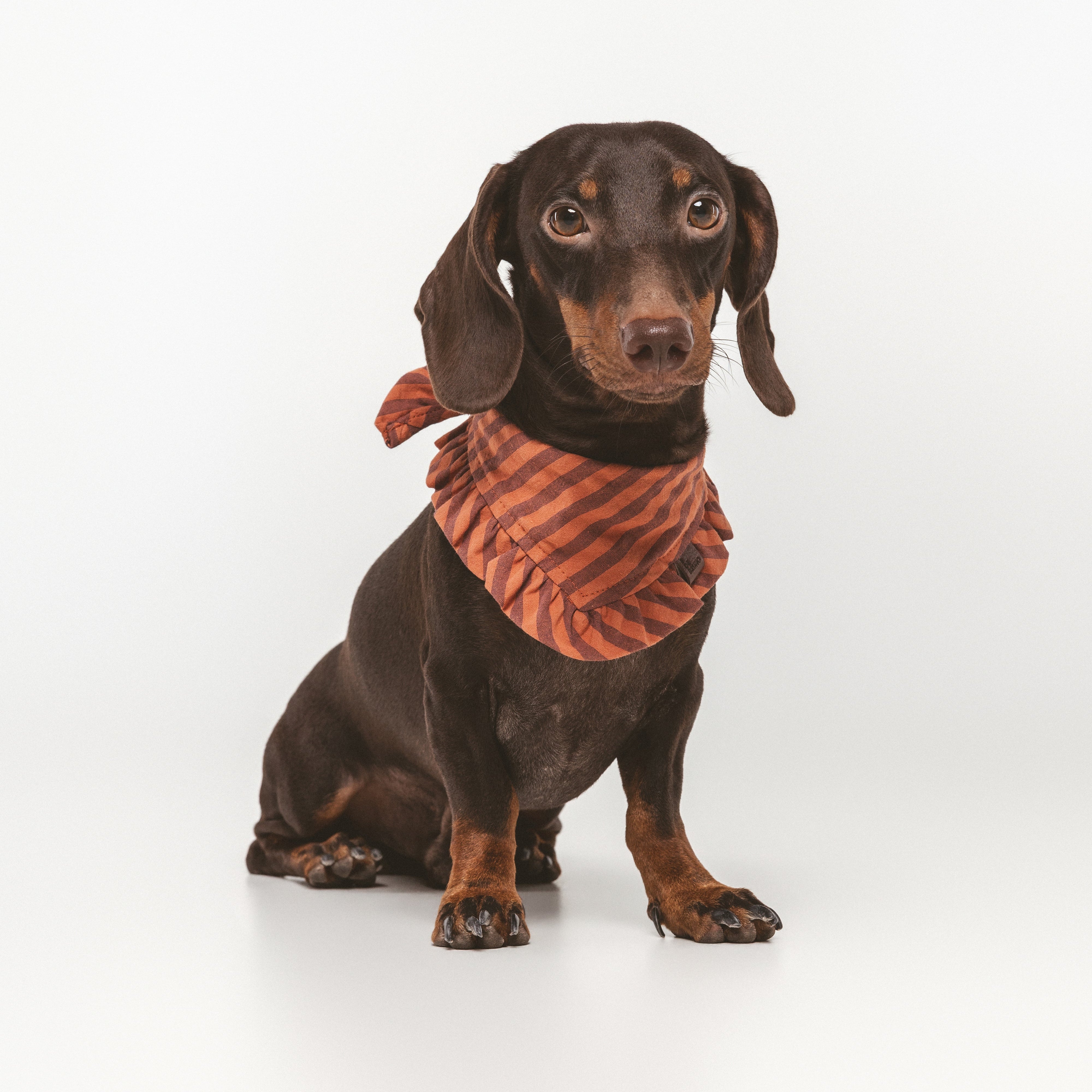 Bandana Mafalda