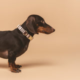 Collar Click Sophie de BDEBRUNO para perros