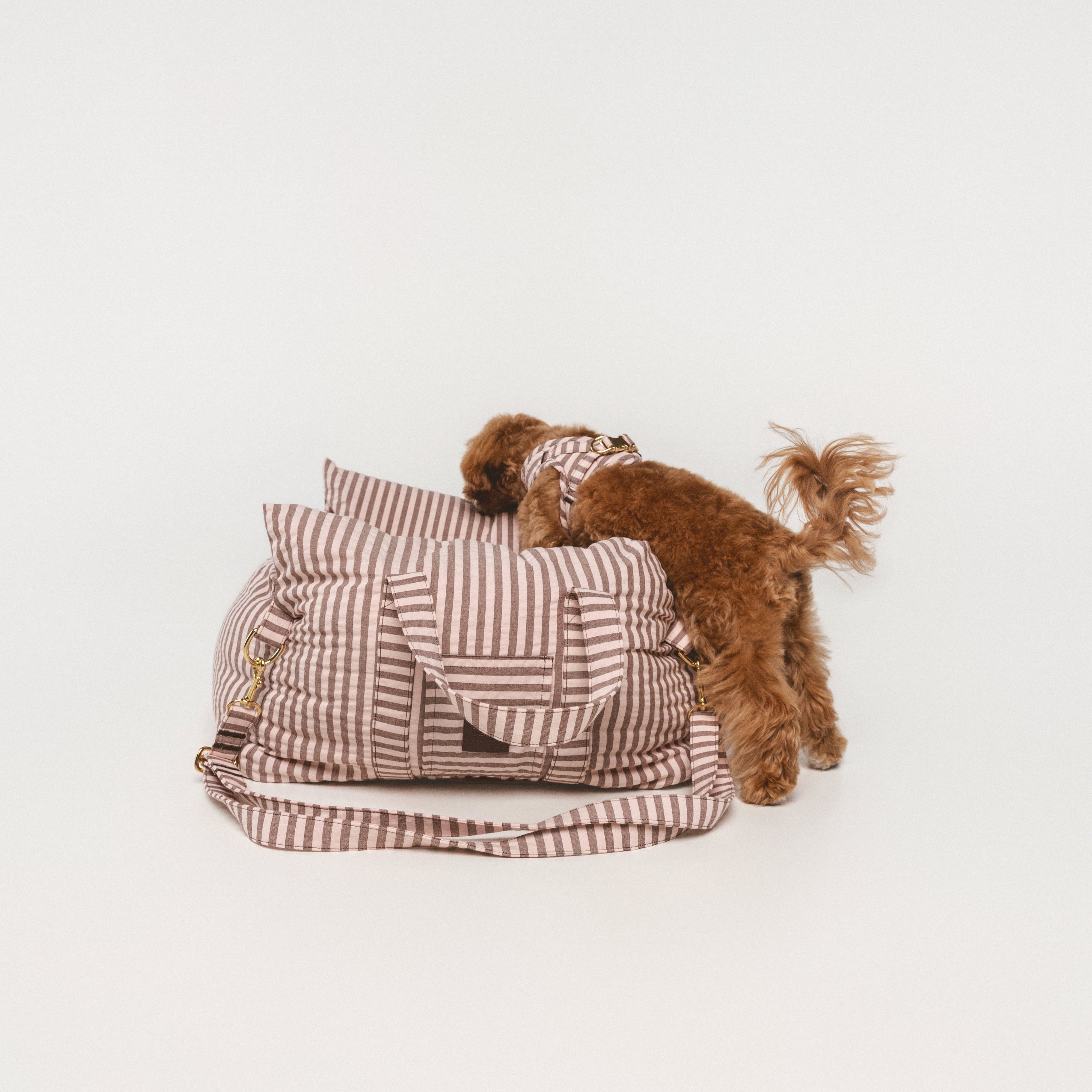 Asiento Coche Sophie