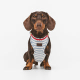 Arnés Chest Cascais de BDEBRUNO para perros