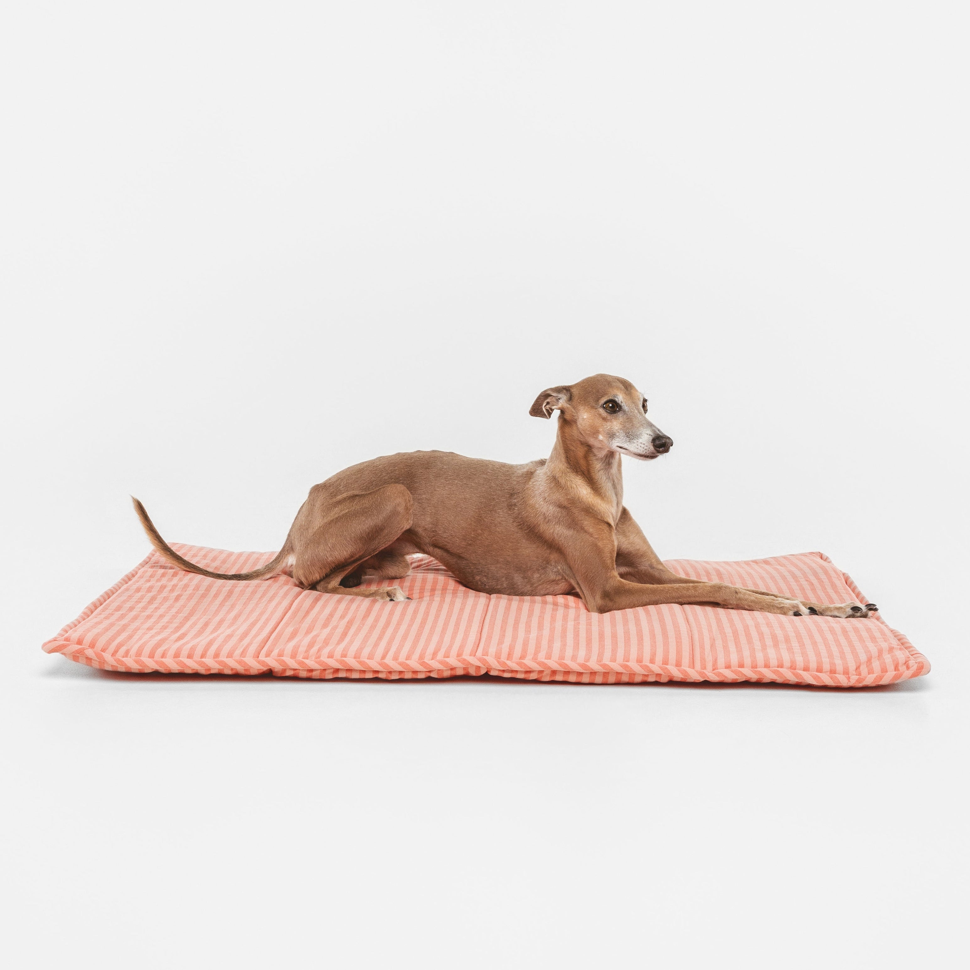 Roll-Bed Sintra