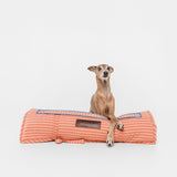 Roll-Bed Sintra de BDEBRUNO, cama de viaje para perros