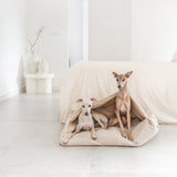 Cama Premium Tahoe de BDEBRUNO para perros