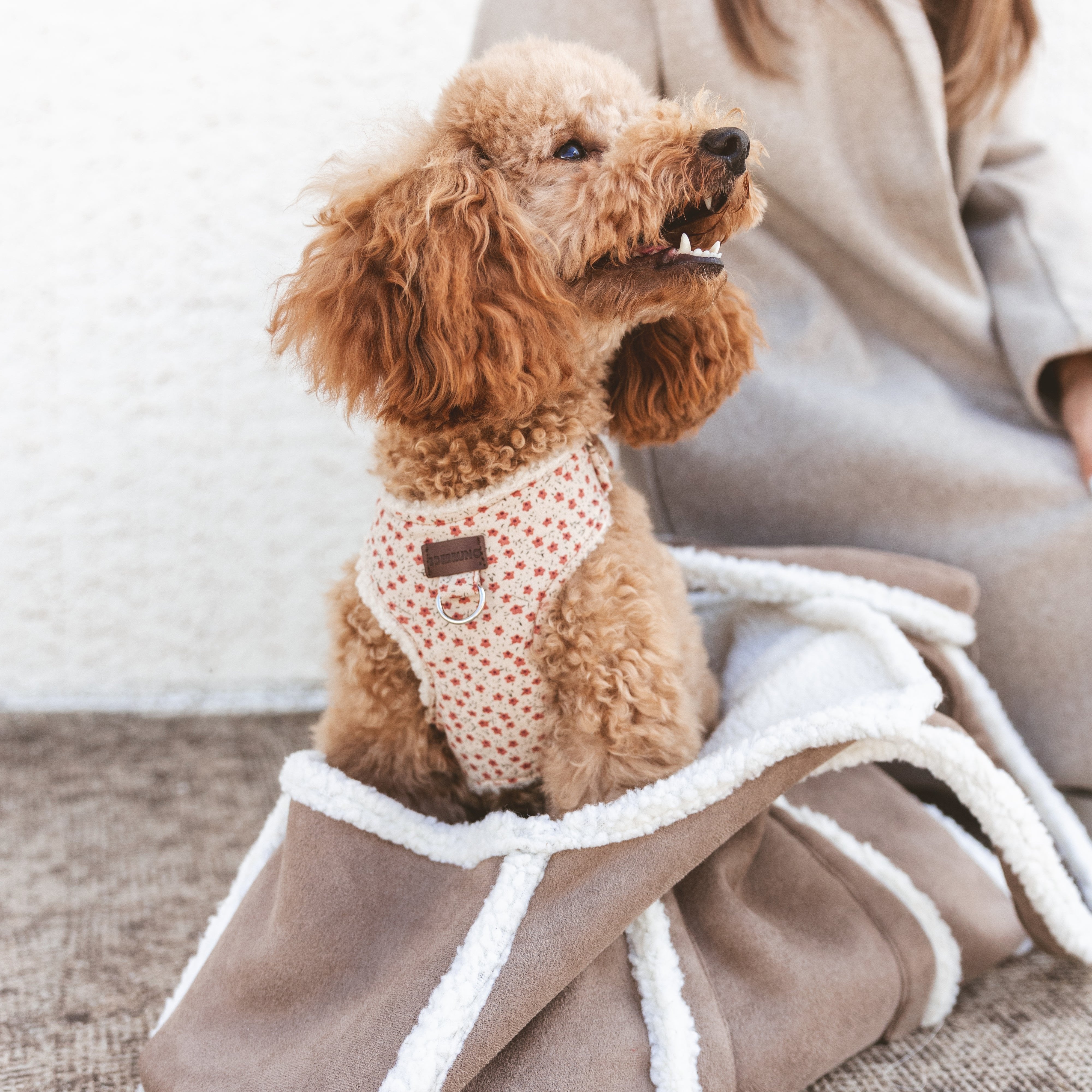 Bolso Transportín Verona para Perros