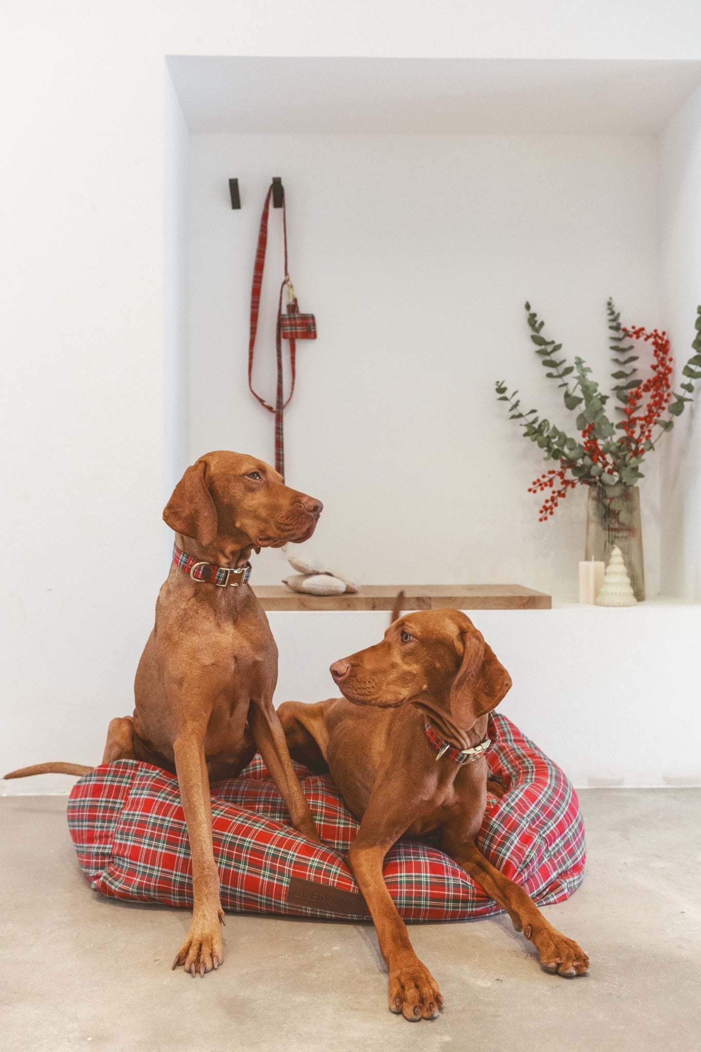 Collier Click Édition de Noël