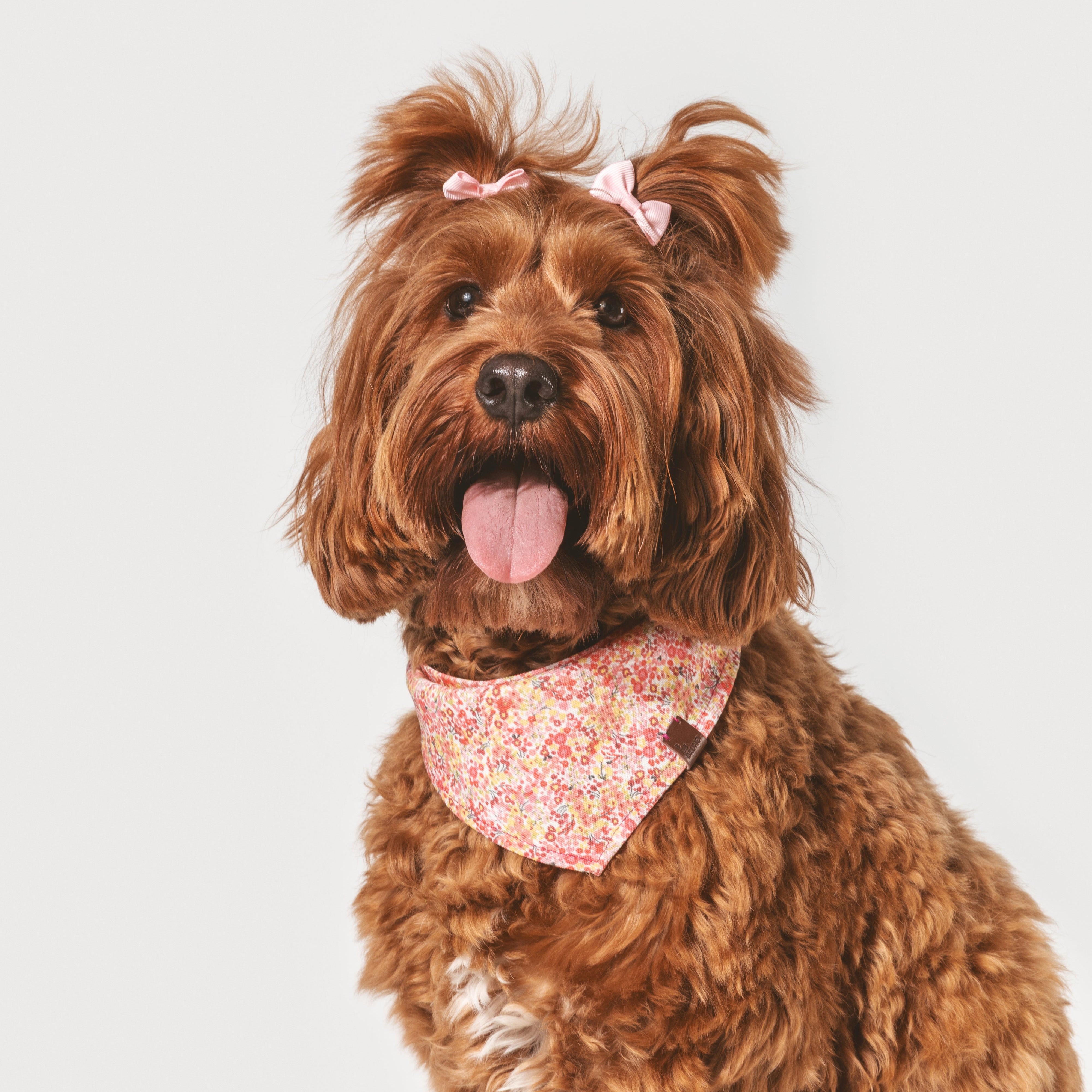 Bandana Blossom