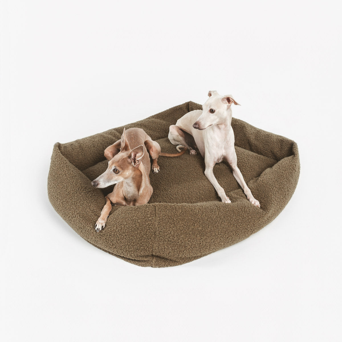 Cama Nuck Teddy Kaki