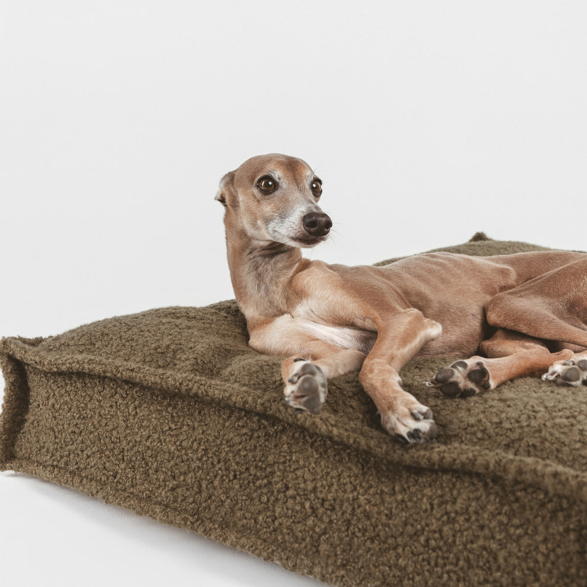 Étui Teddy Kaki basique