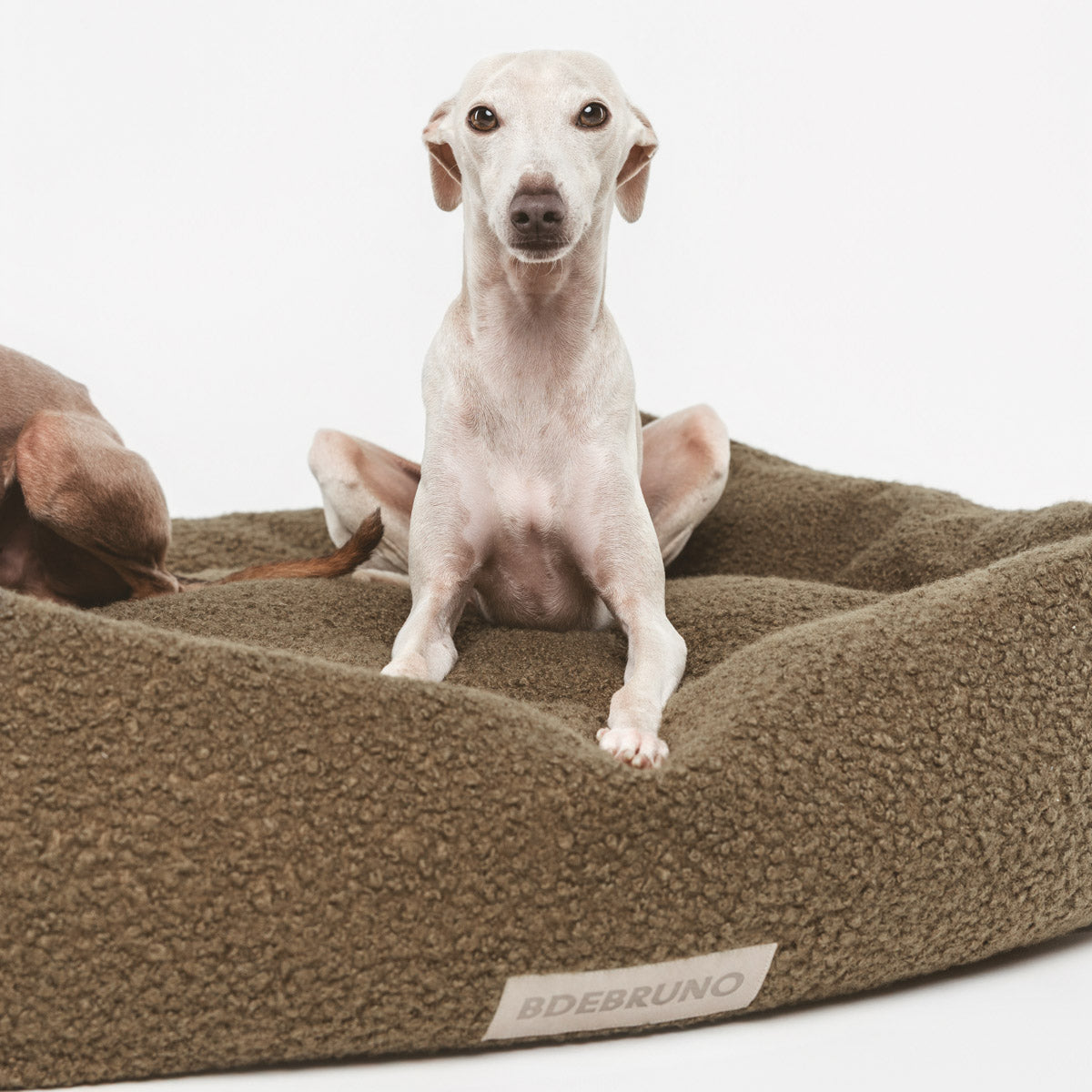 Funda Nuck Teddy Kaki