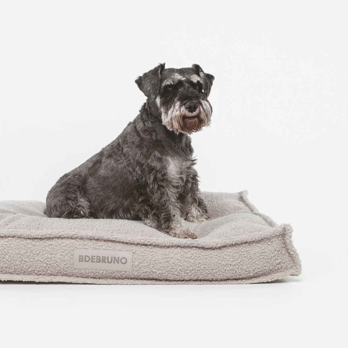 Lit Teddy Greige basique