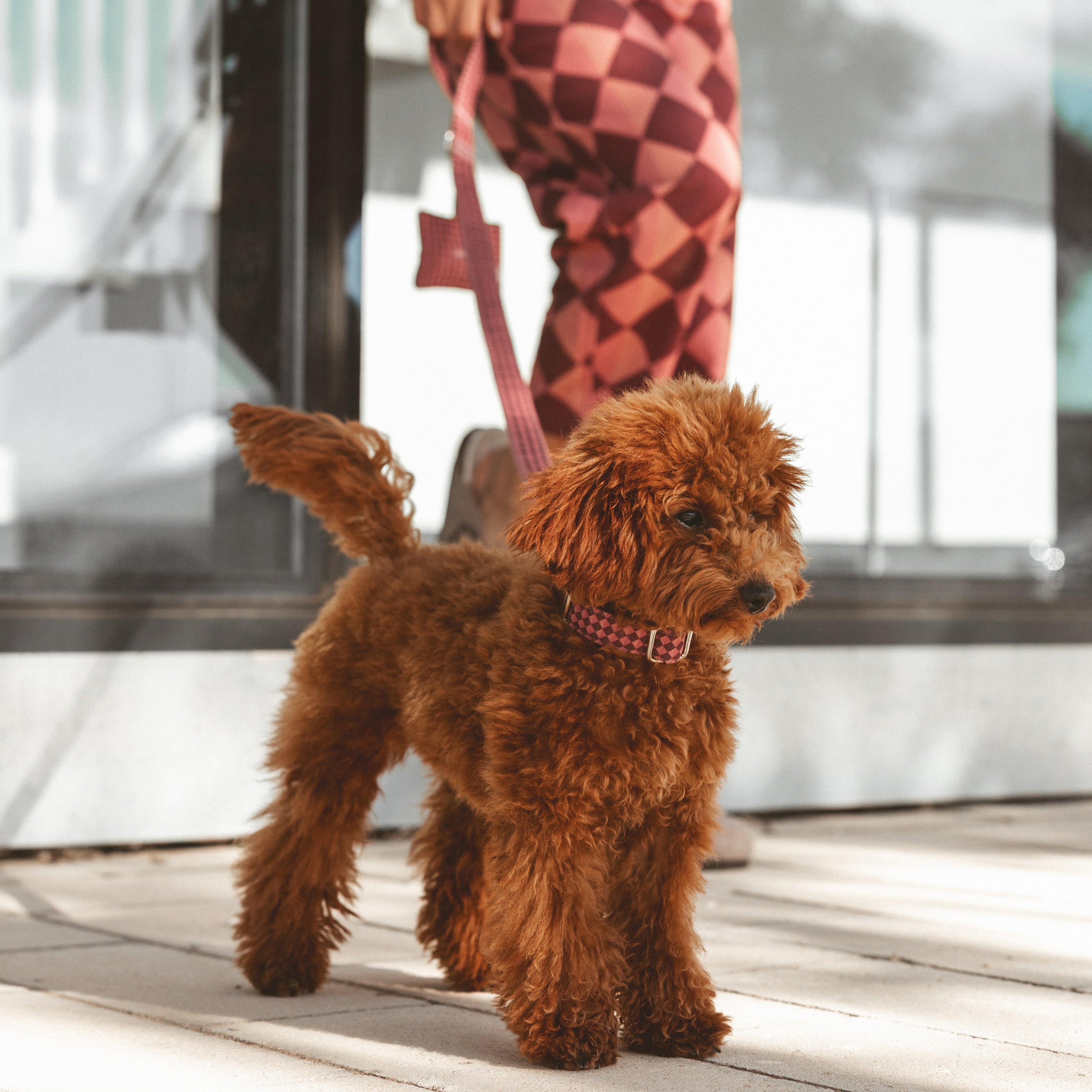 Click Rhombus Necklace