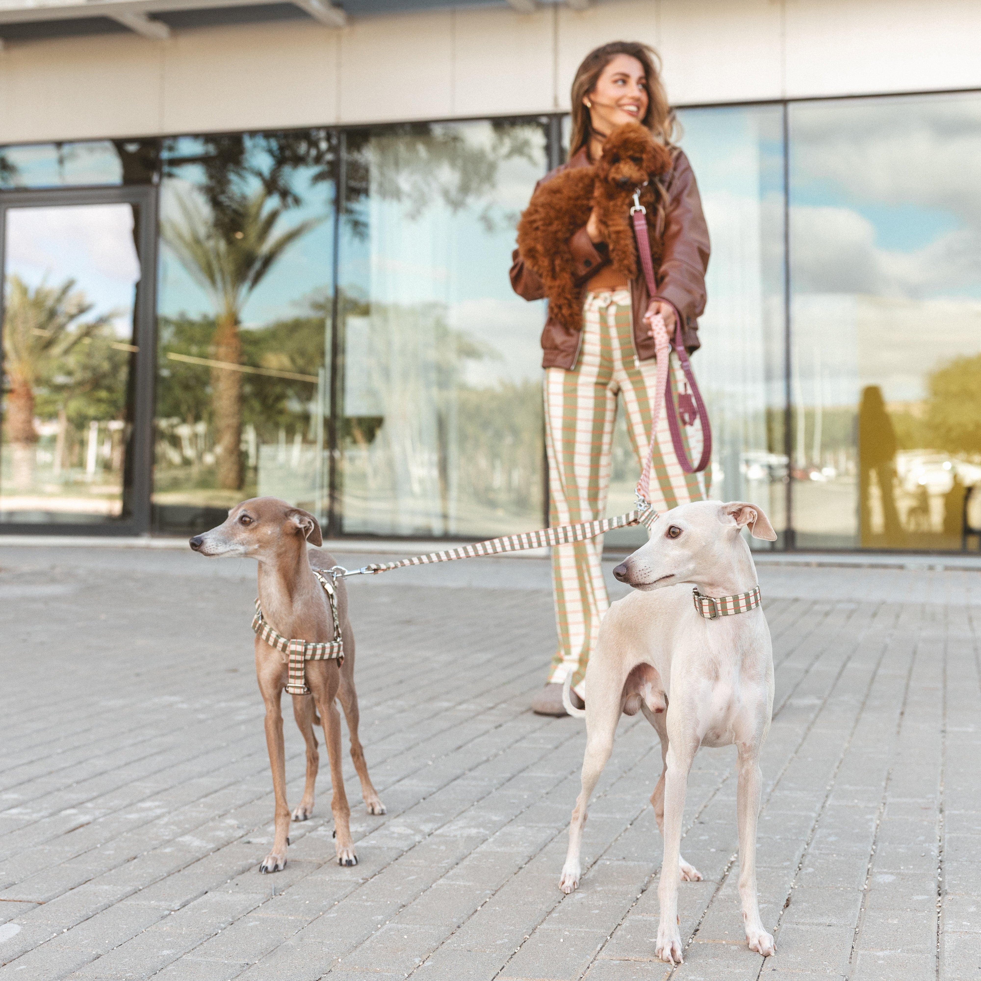 Aplique Correa Dúo Matcha