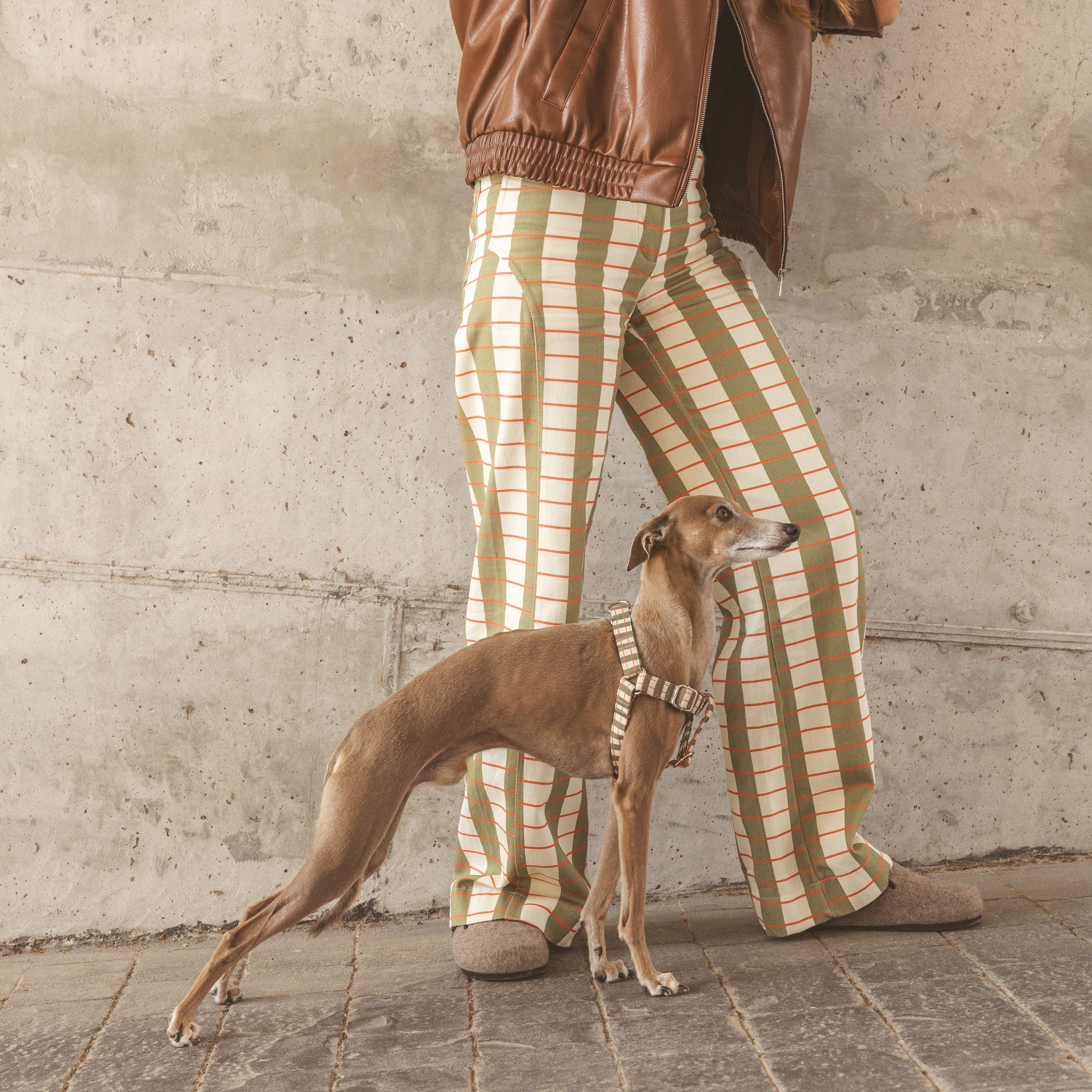 Arnés Simple Matcha