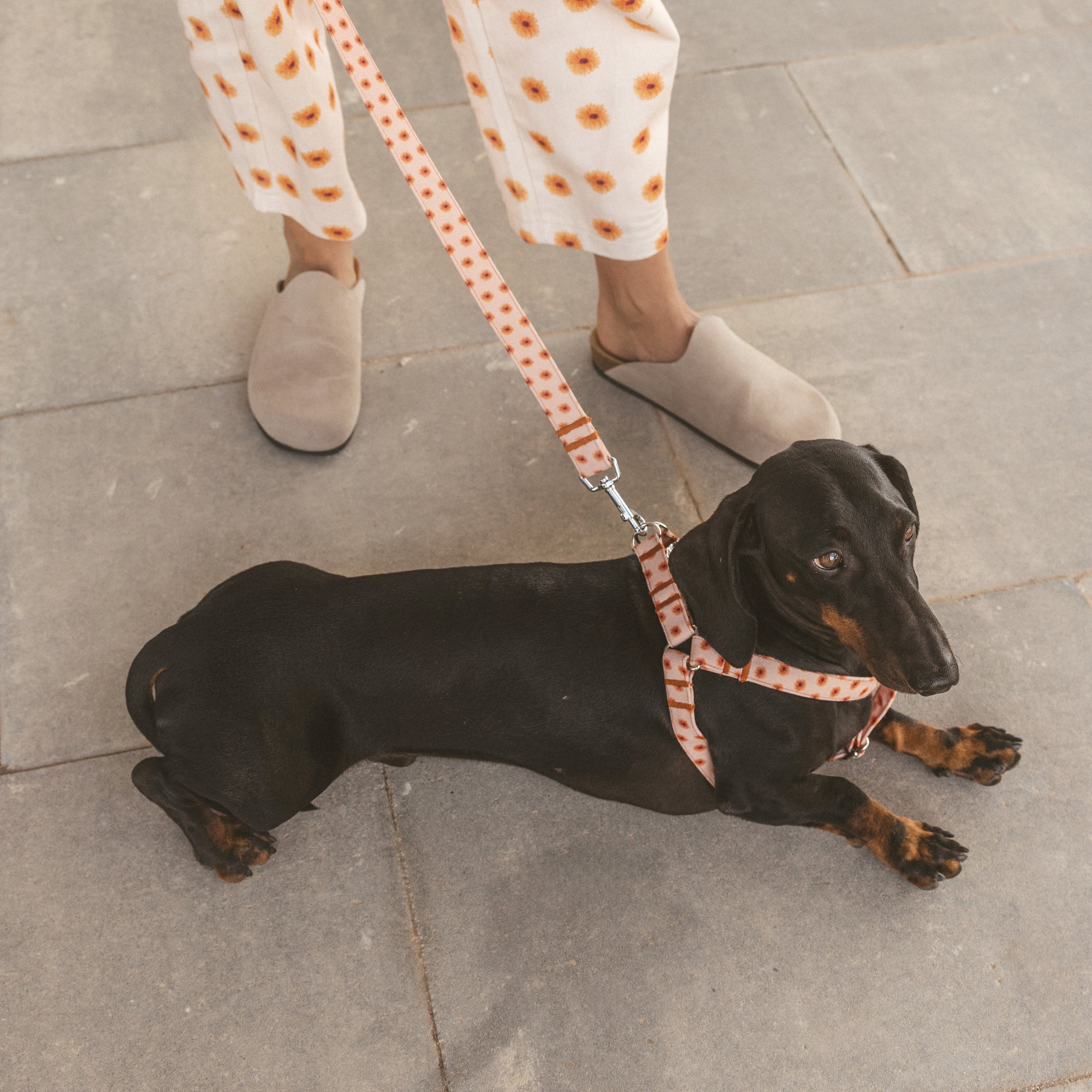 Arnés Simple Flores