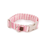 Collar Click Levante Zahara de BDEBRUNO para perros